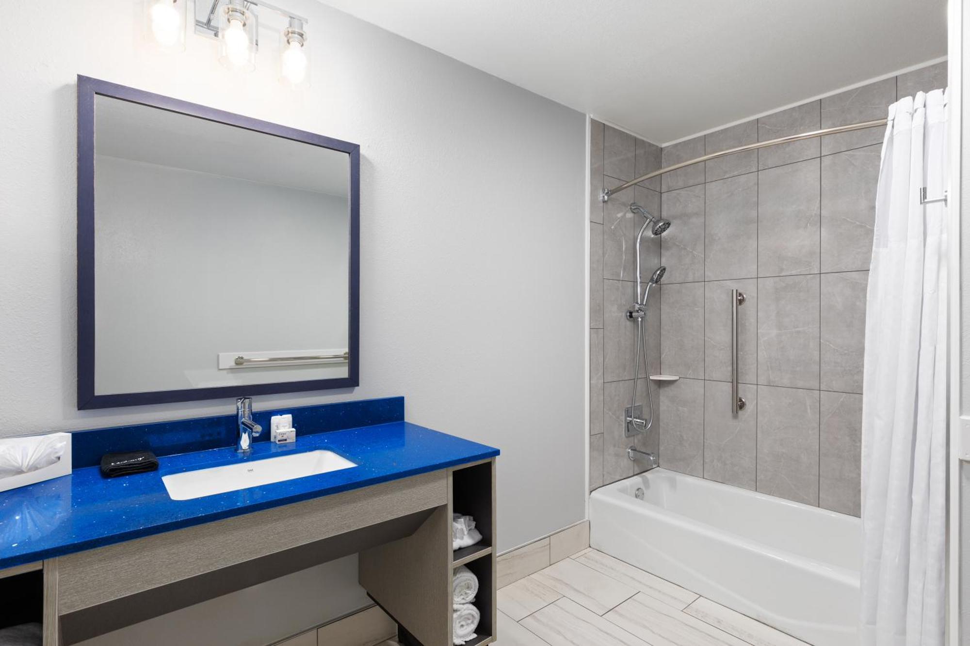 Queen Suite Tub Grab Bars Mobility or Hearing Accessible Non-Smoking