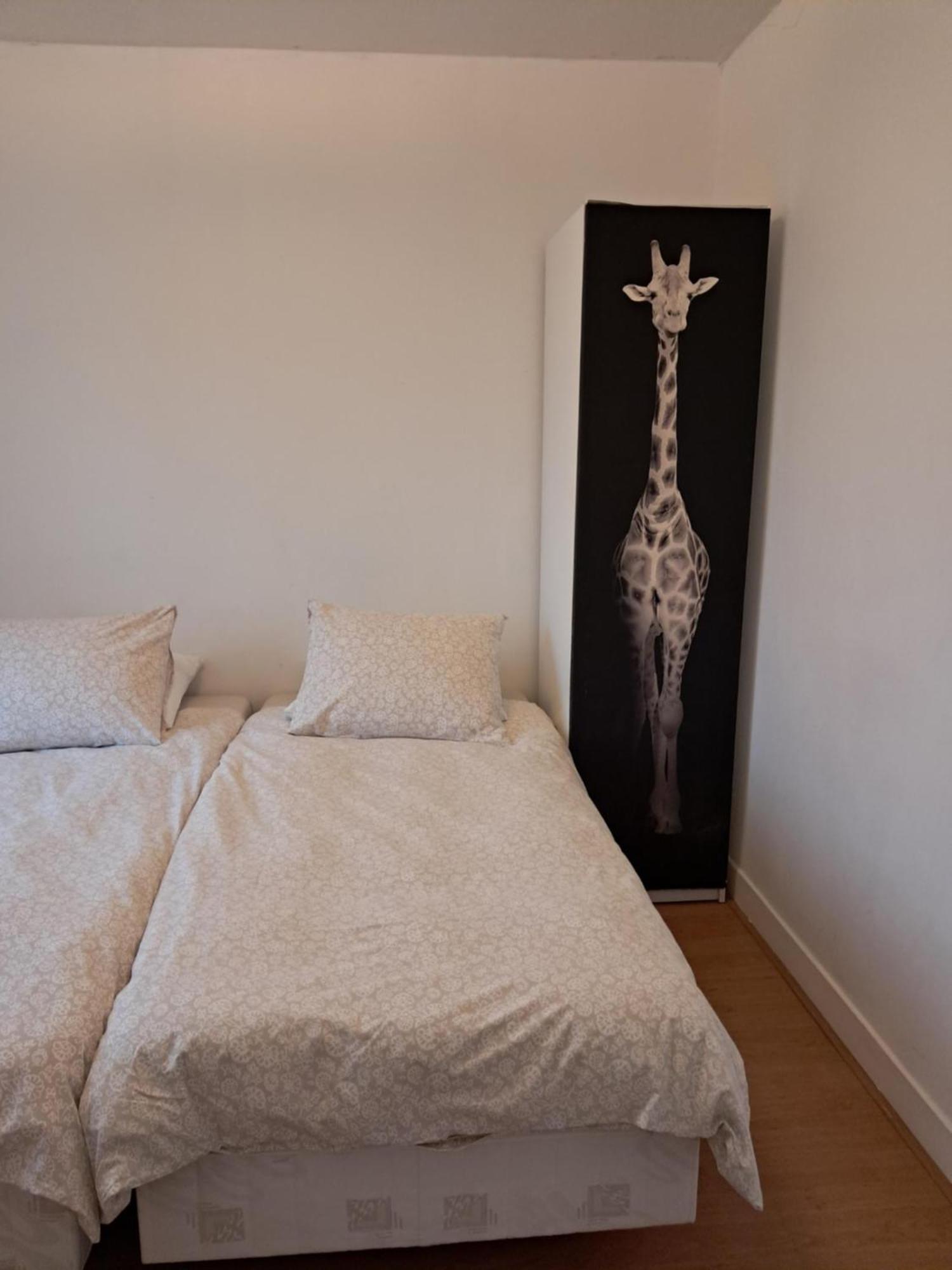Room Terrace,1651188329:JPEG