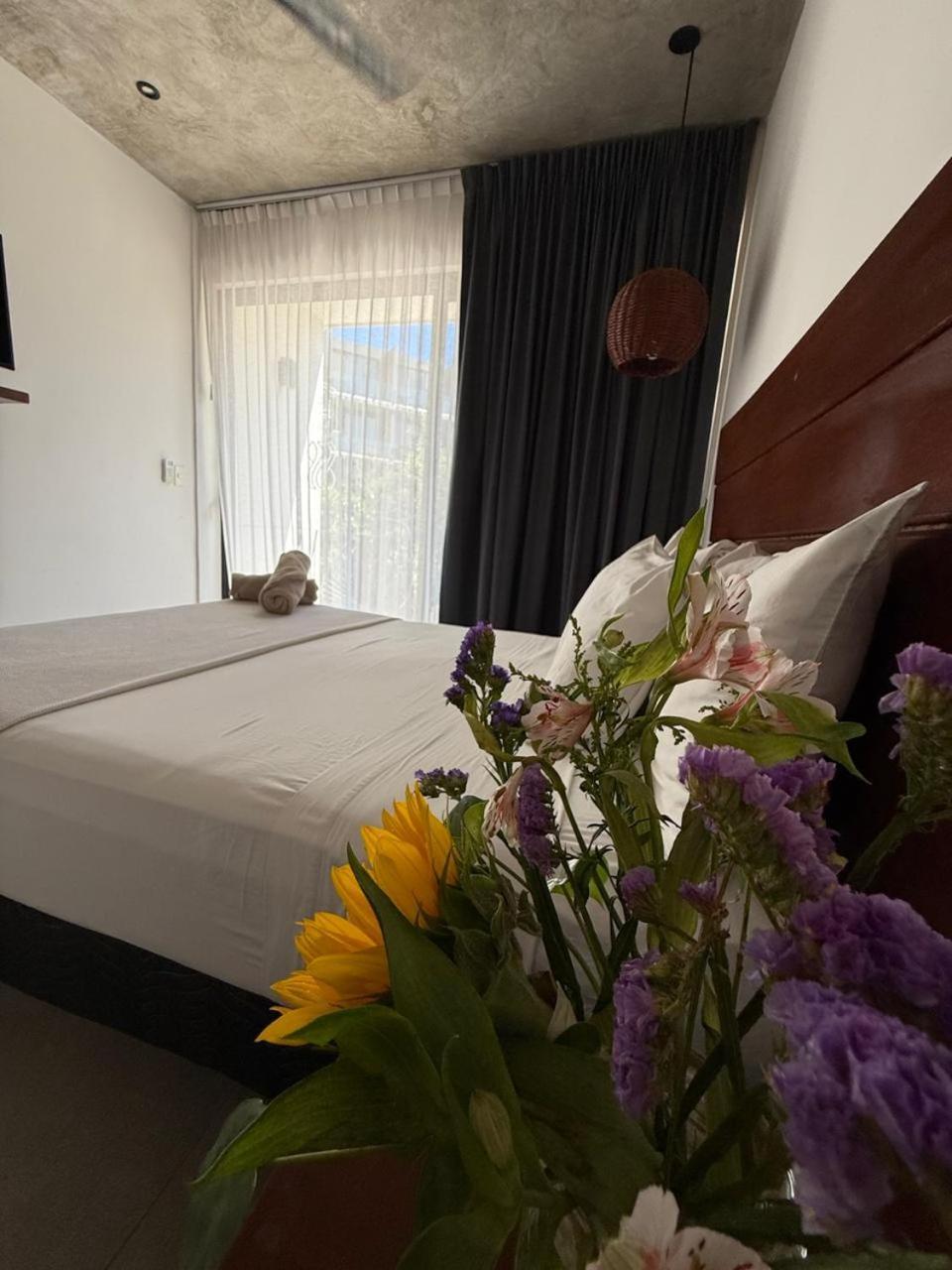 Superior Queen Room,1651228033:JPEG