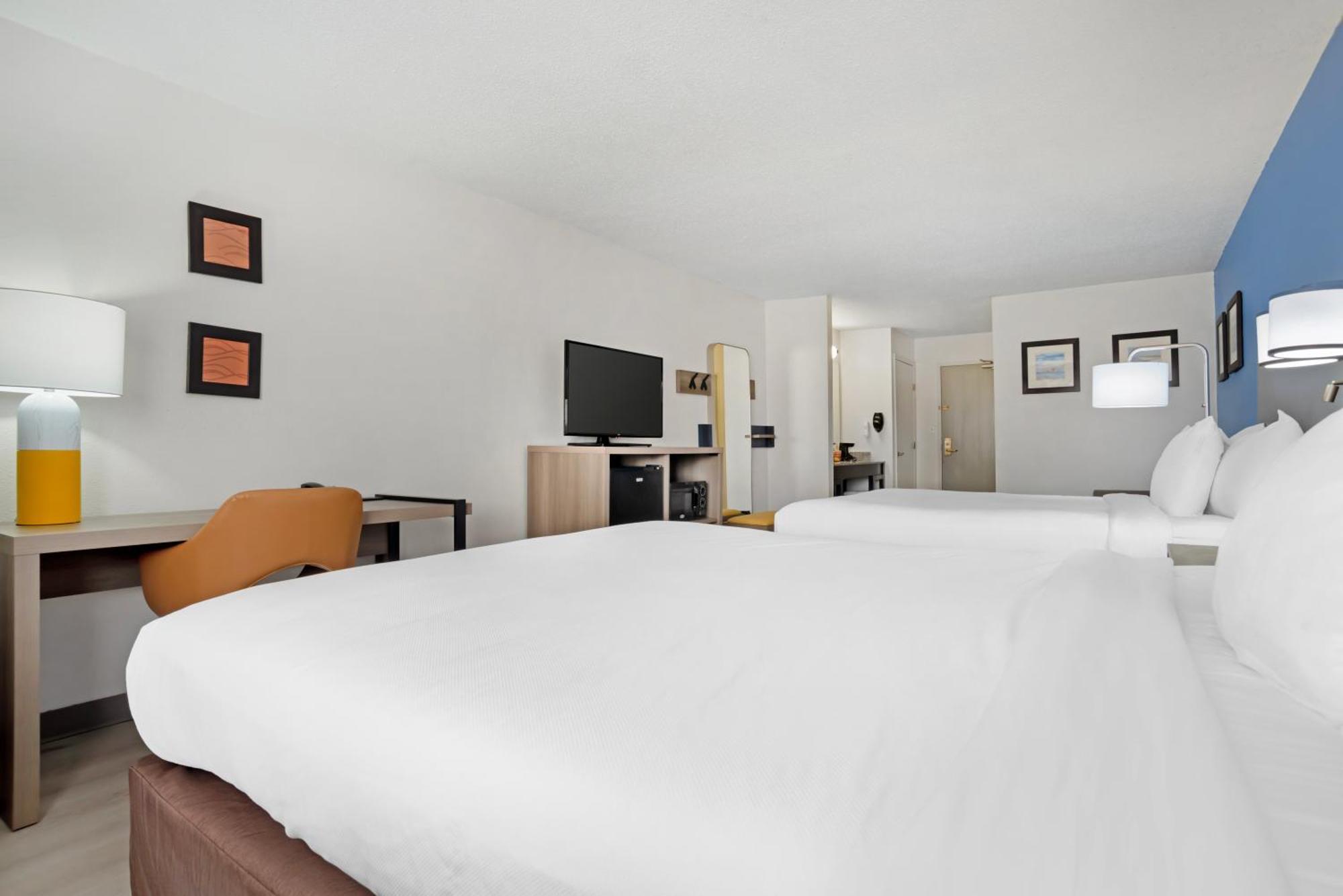 2 Queen Beds, 2 - Person Sofabed