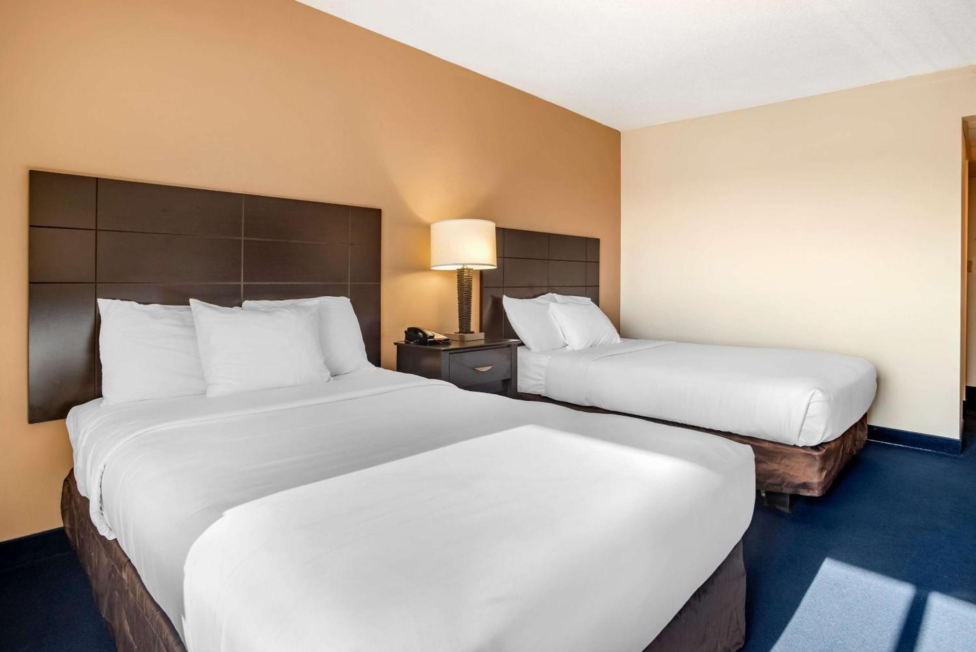 Standard Room Two Double Beds Interior Non-Smoking