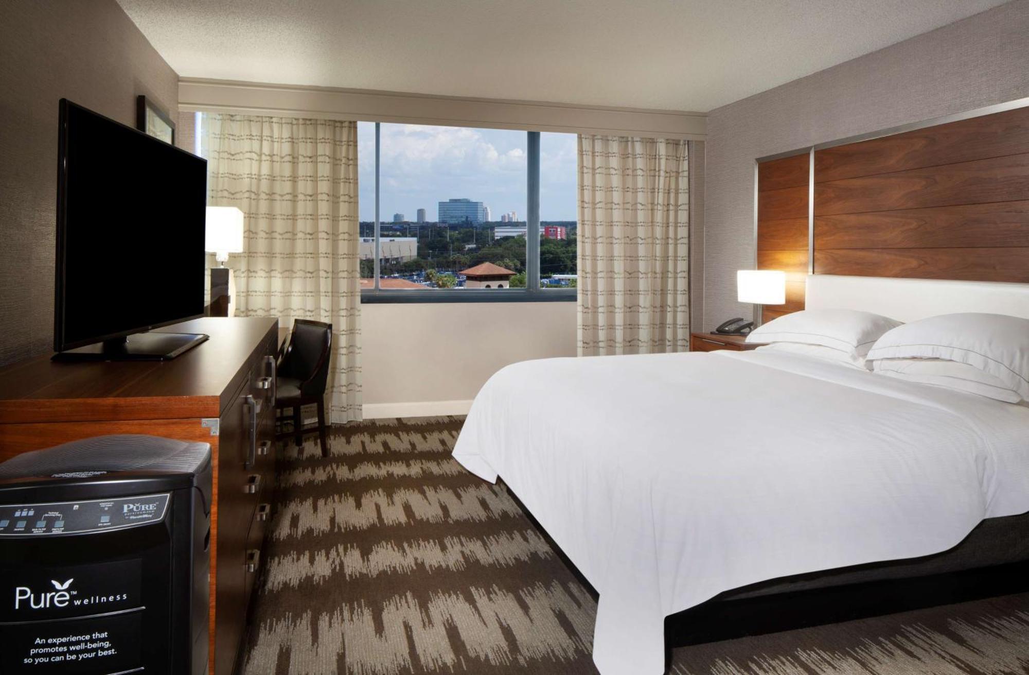 King Room Non-Smoking Allergy Friendly