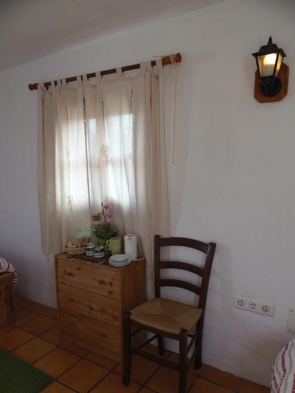 Studio Terrace