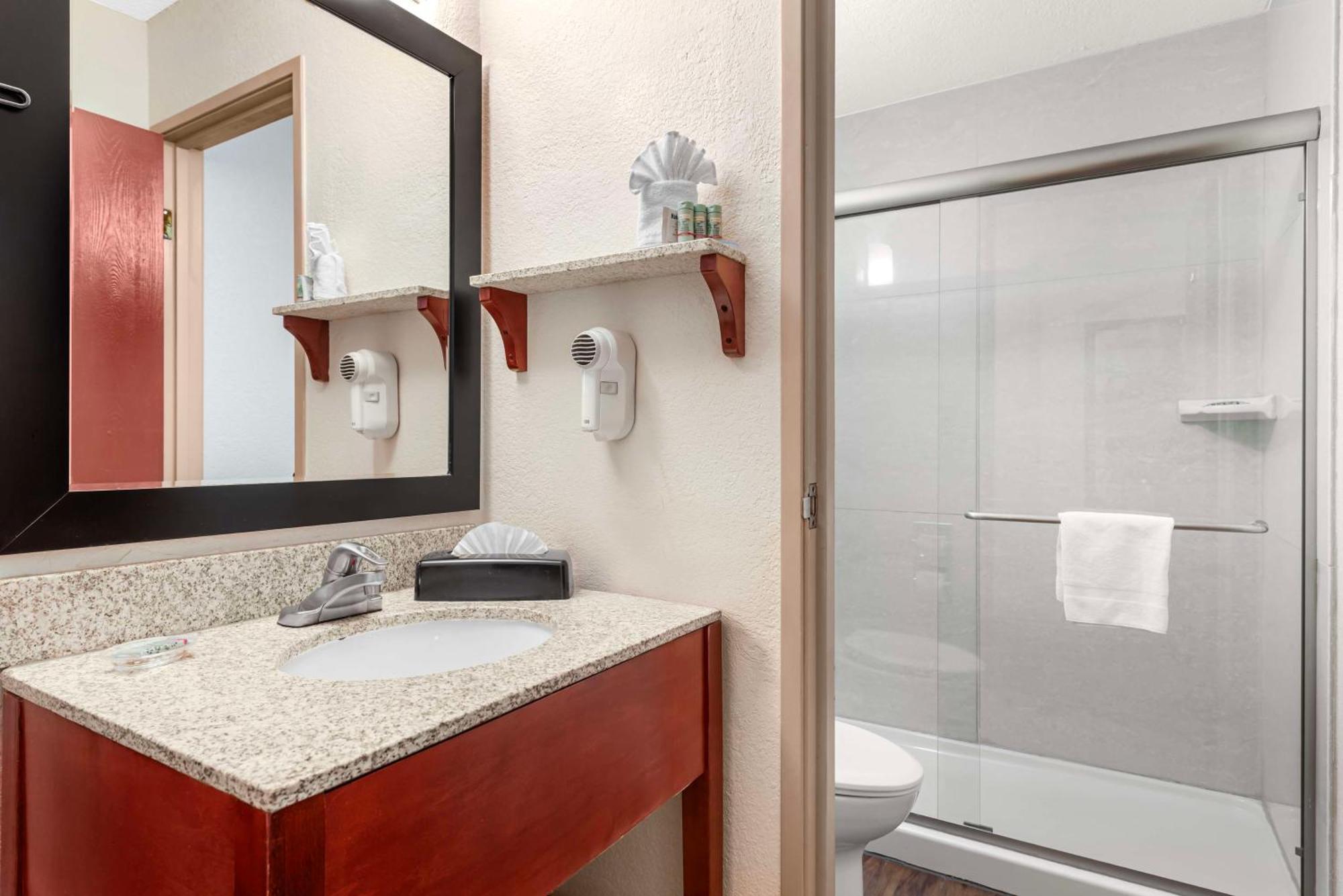 King Room Pet Friendly