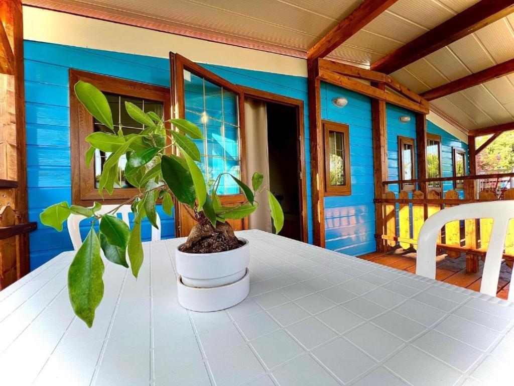 Twin Room Private Bathroom