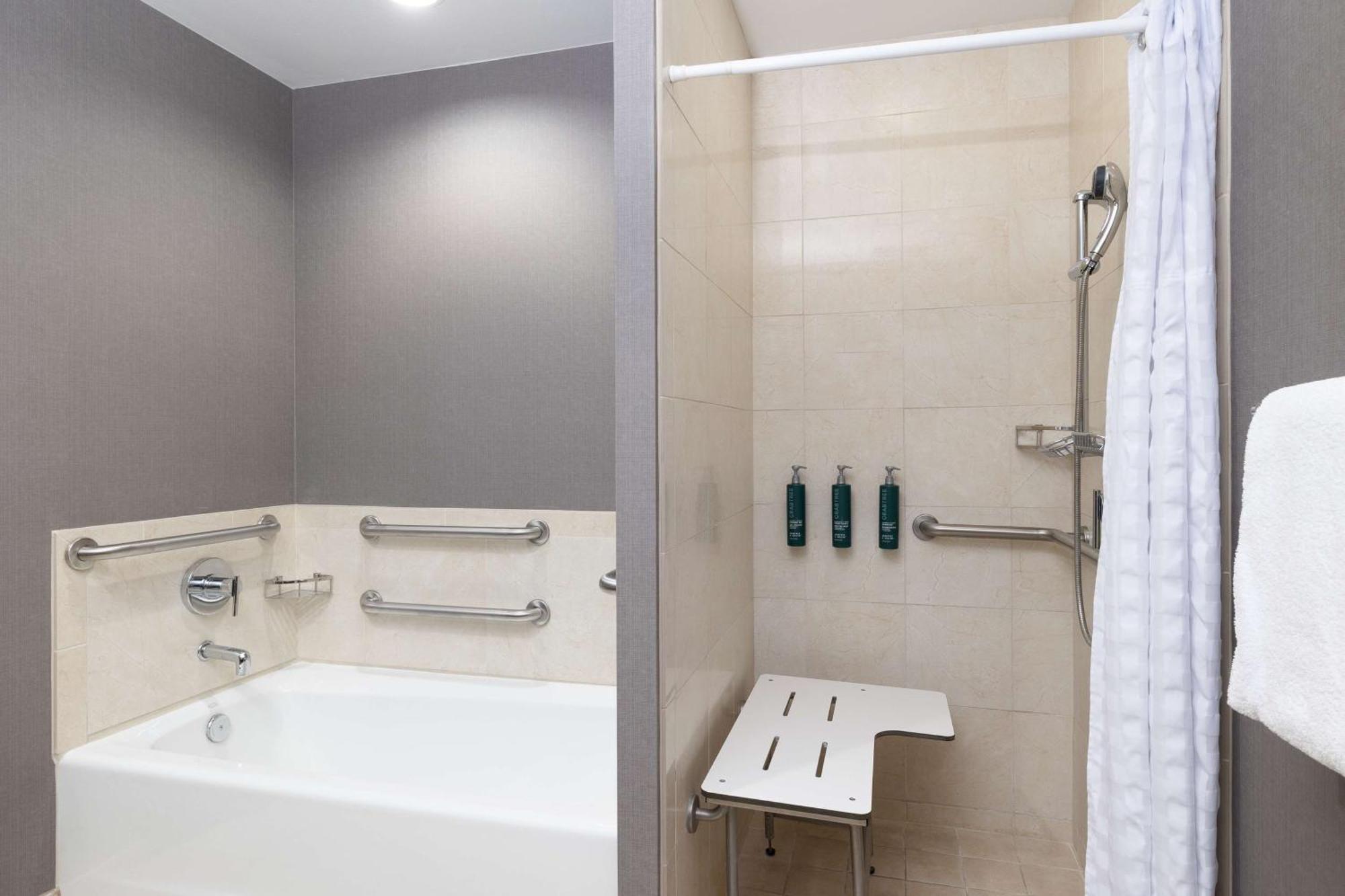 Deluxe King Room Roll Shower Mobility Access