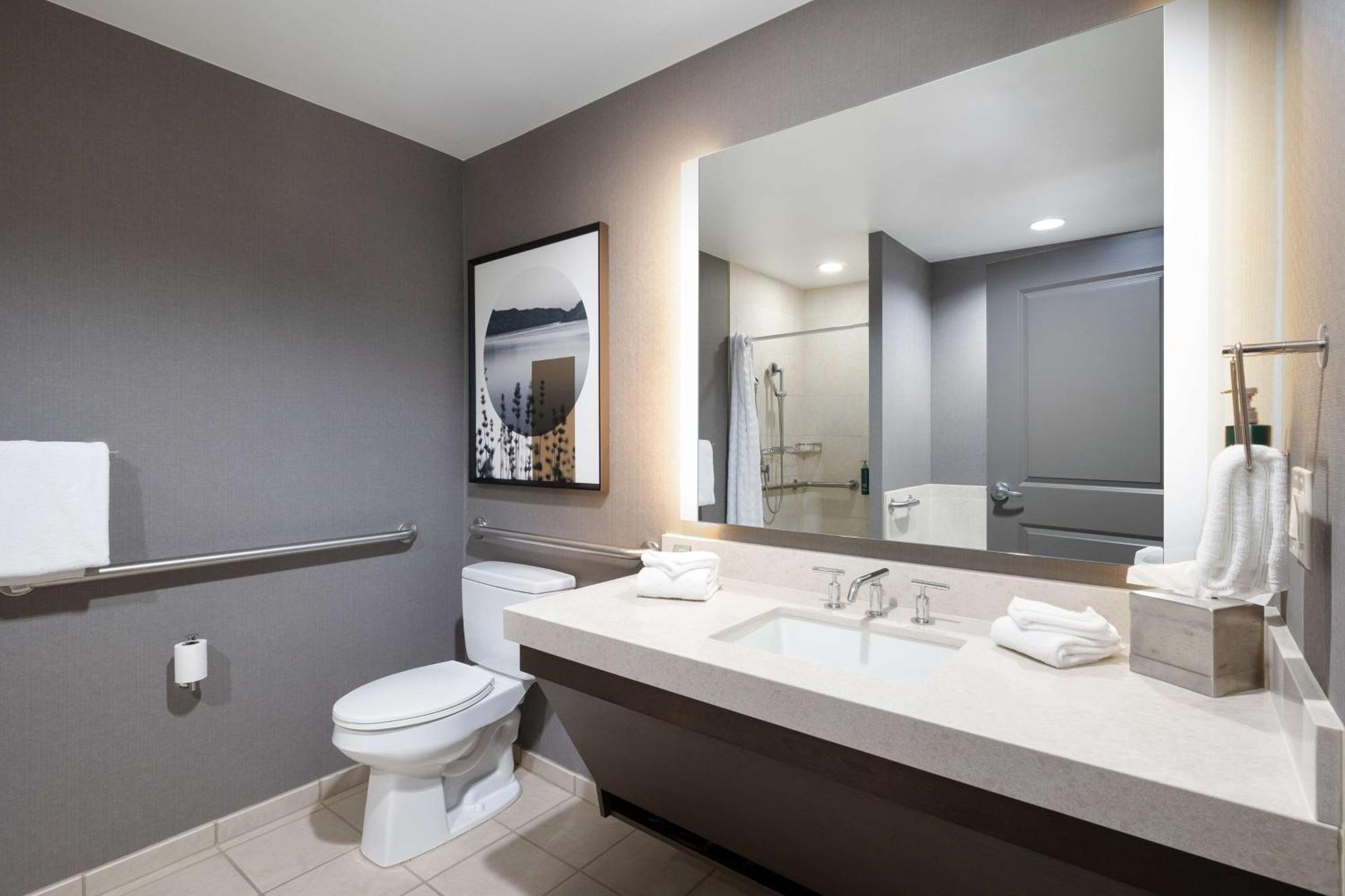 Deluxe King Room Roll Shower Mobility Access