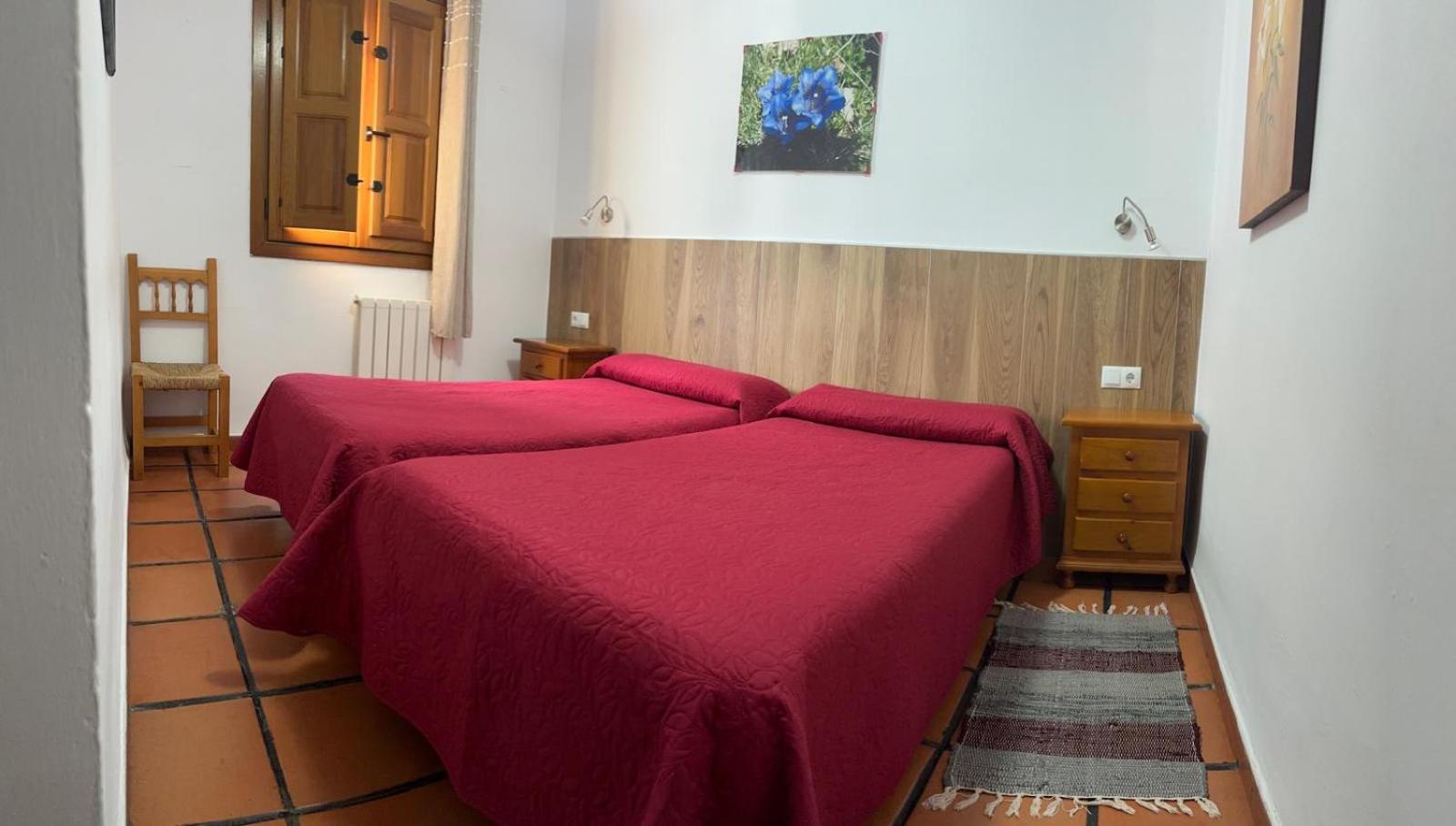 Double or Twin Room