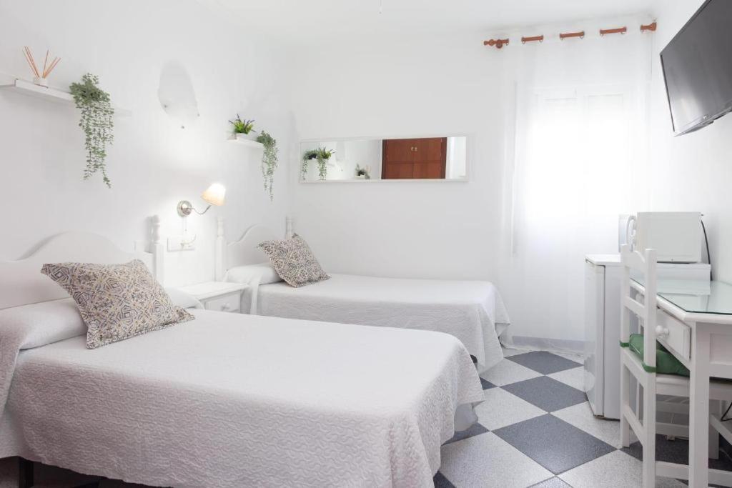 Twin Room,1659454537:JPEG
