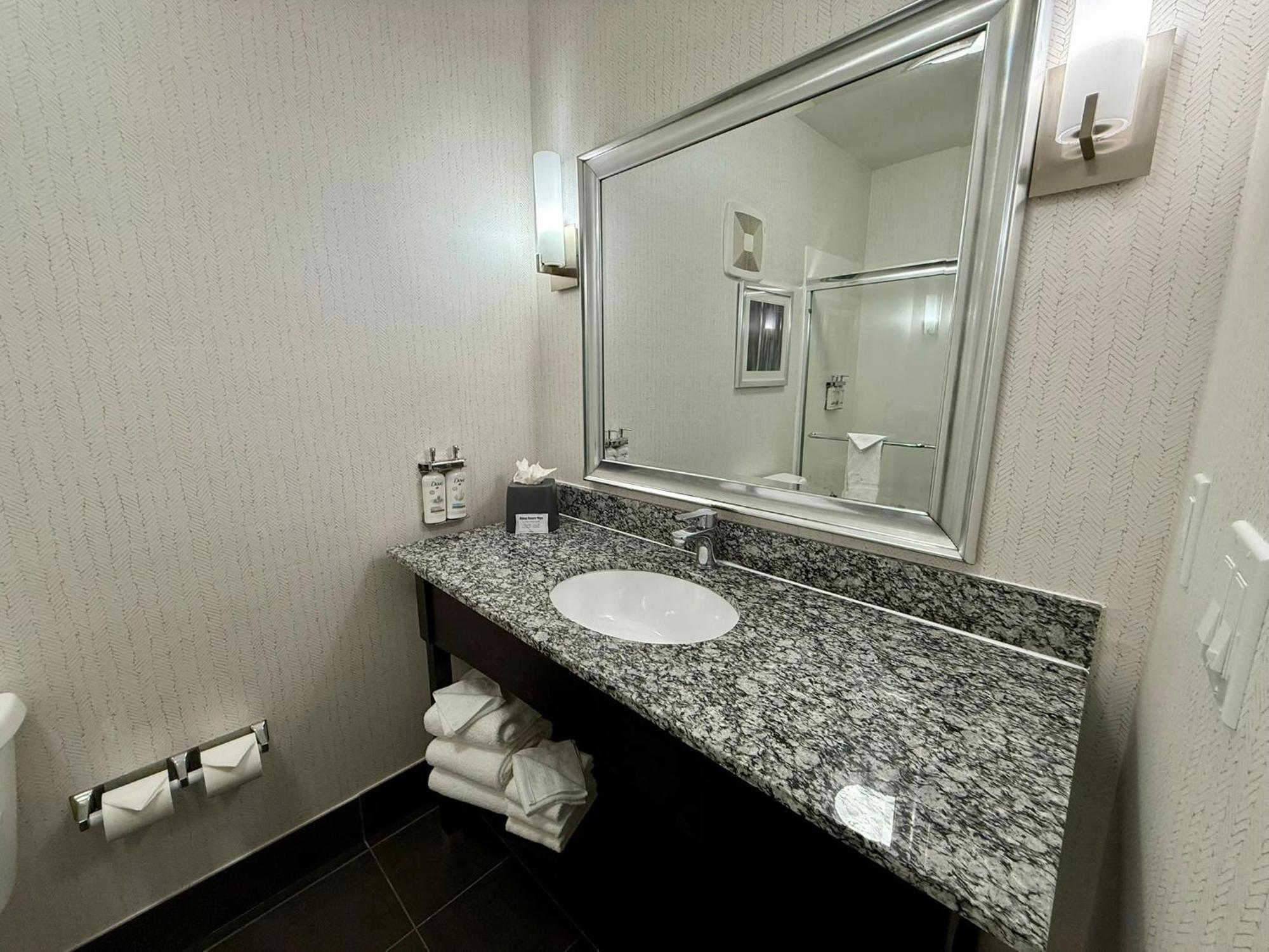 Standard King Room Mobility Accessible Roll Shower,1499012356:JPEG
