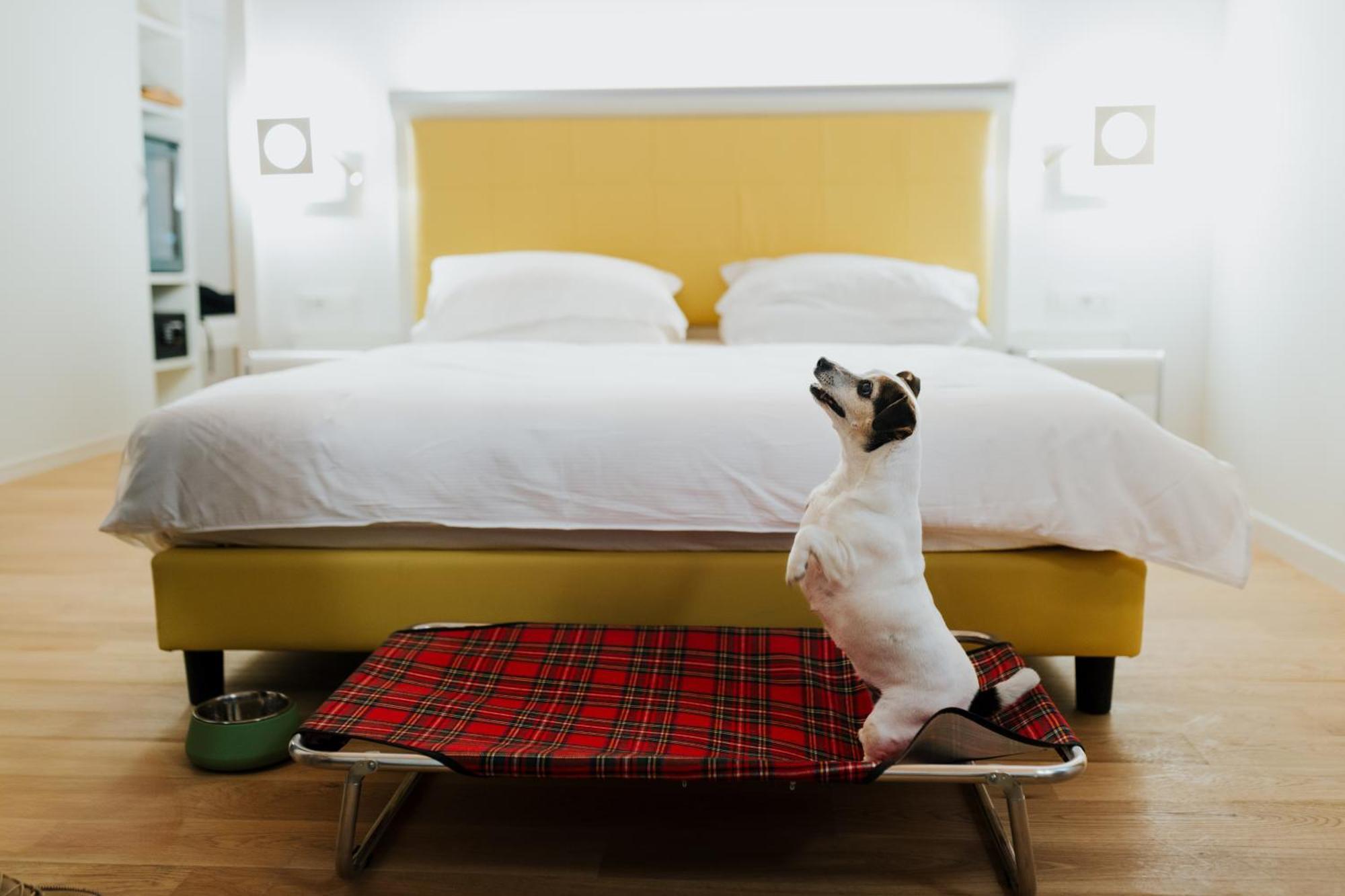 Double Room Annex