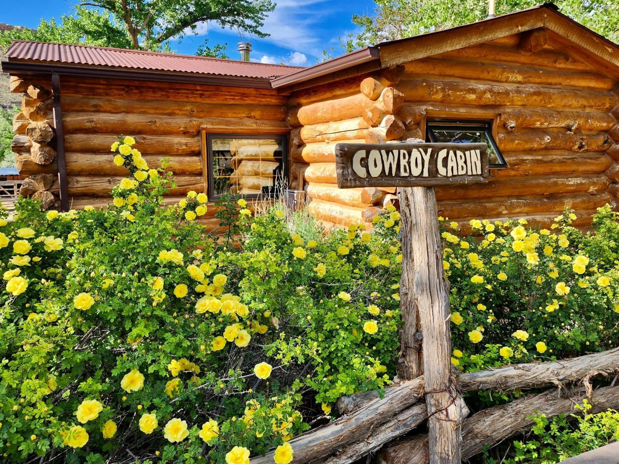 Cottage