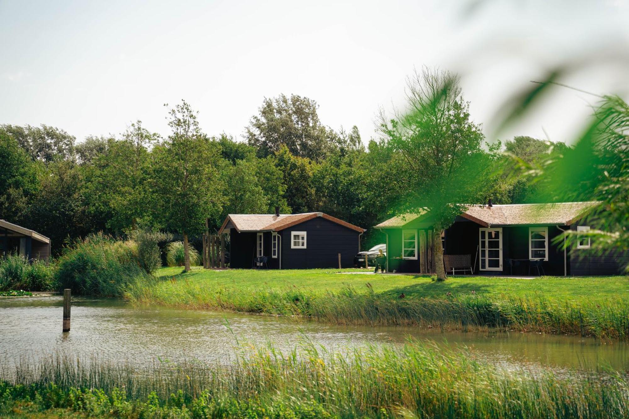 Studio Lake View Pets allowed