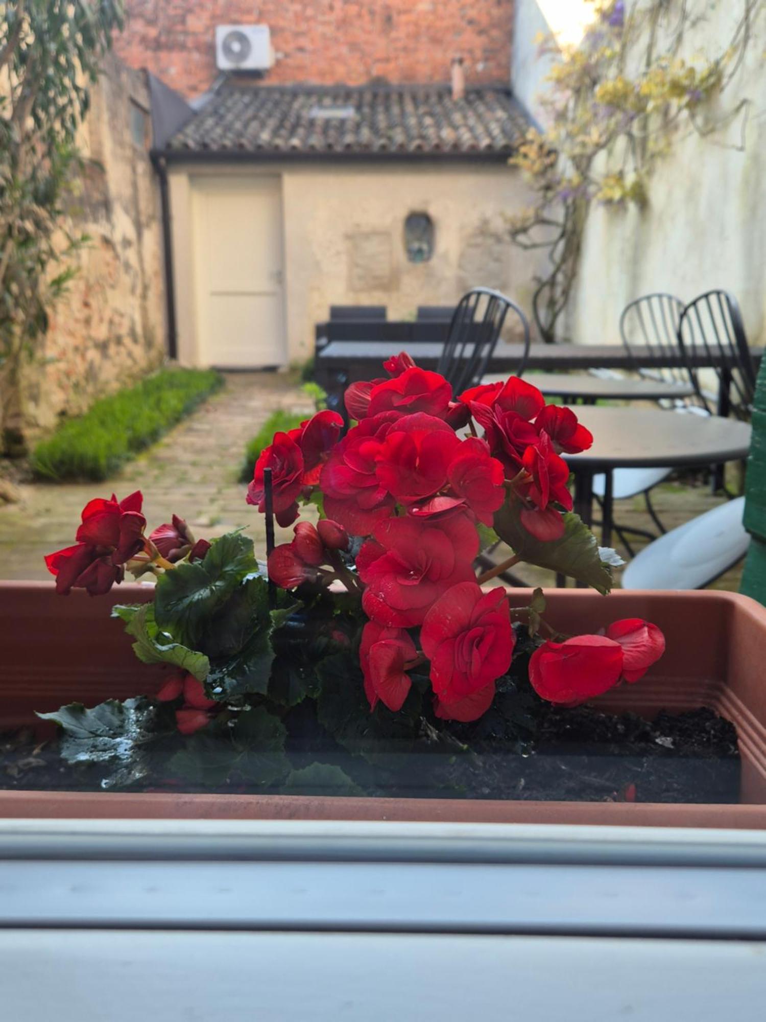 Double Room Garden View