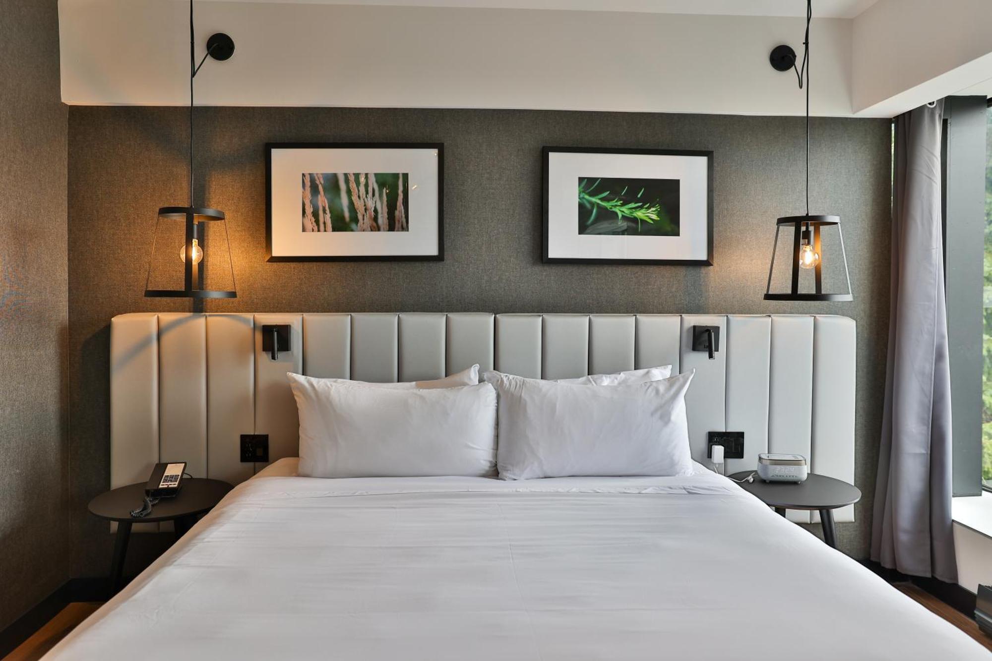 Junior Suite1 King Bed 1 Sofabed,1662979923:JPEG
