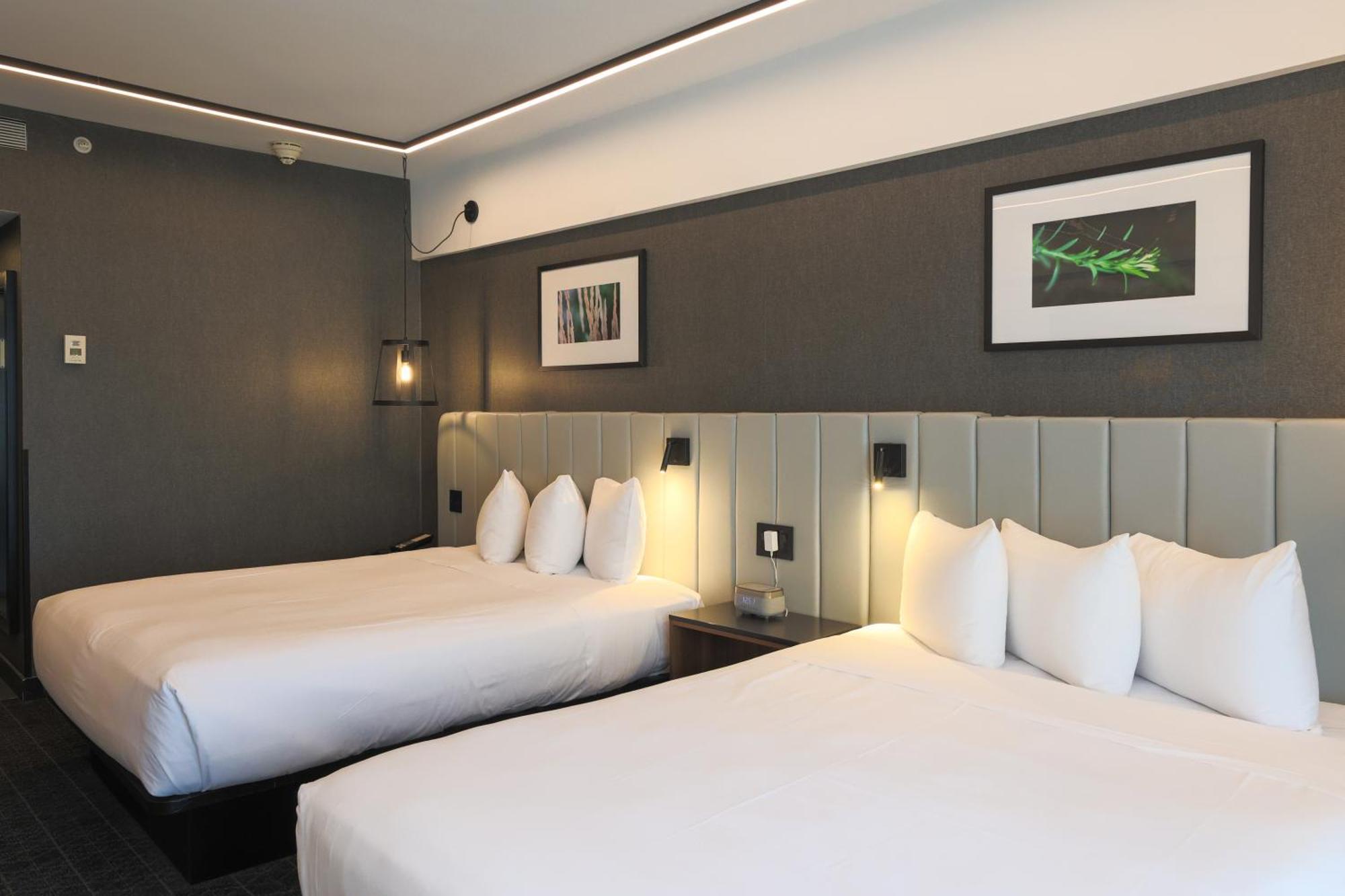 Superior Room 2 Double Beds
