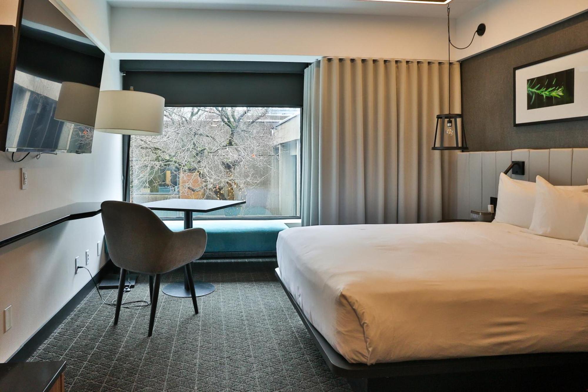 Standard Room 1 Queen Bed