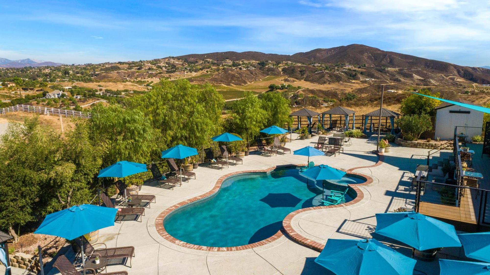 Suite Mountain View