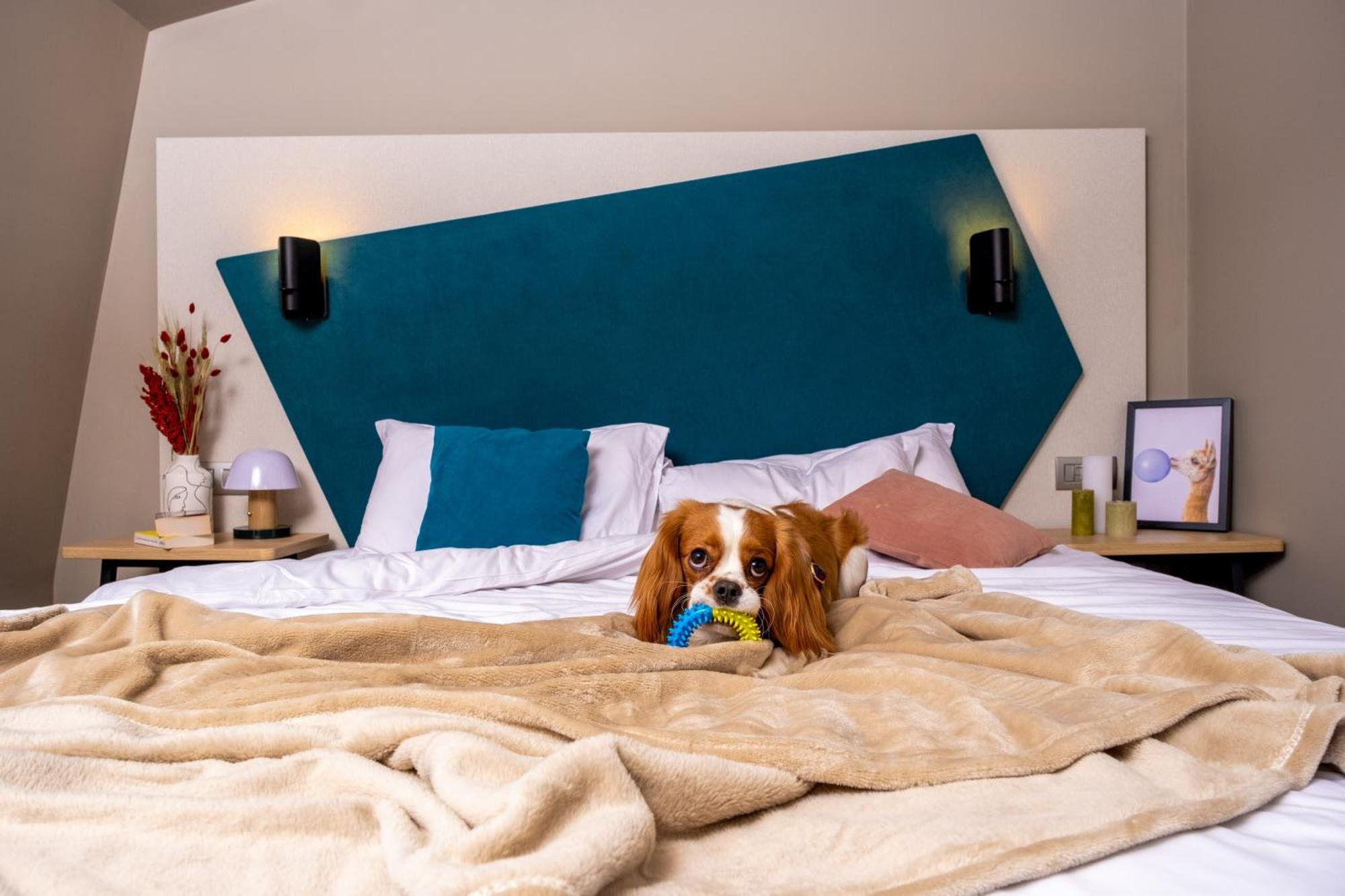 Studio Double Bed