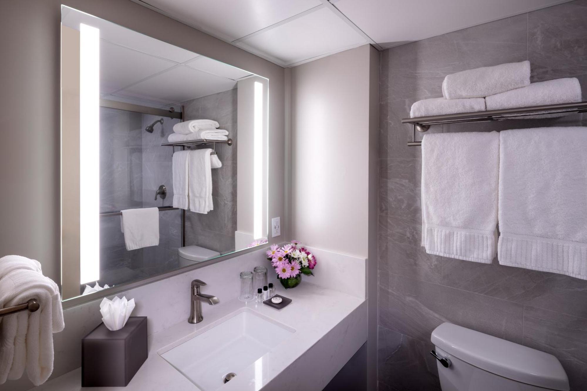 Premier King Room