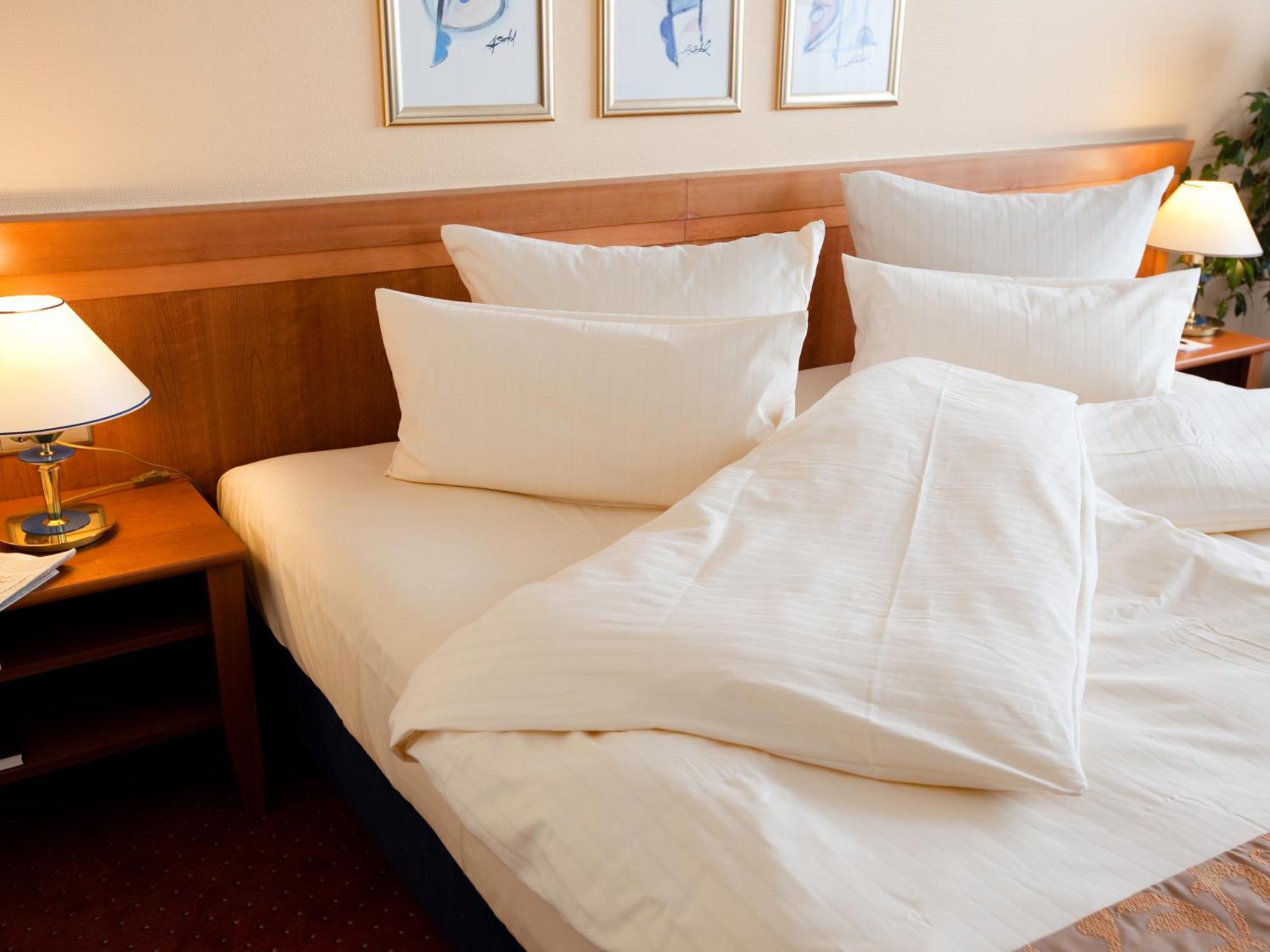 Standard Triple Room partly Basel or Mountain View