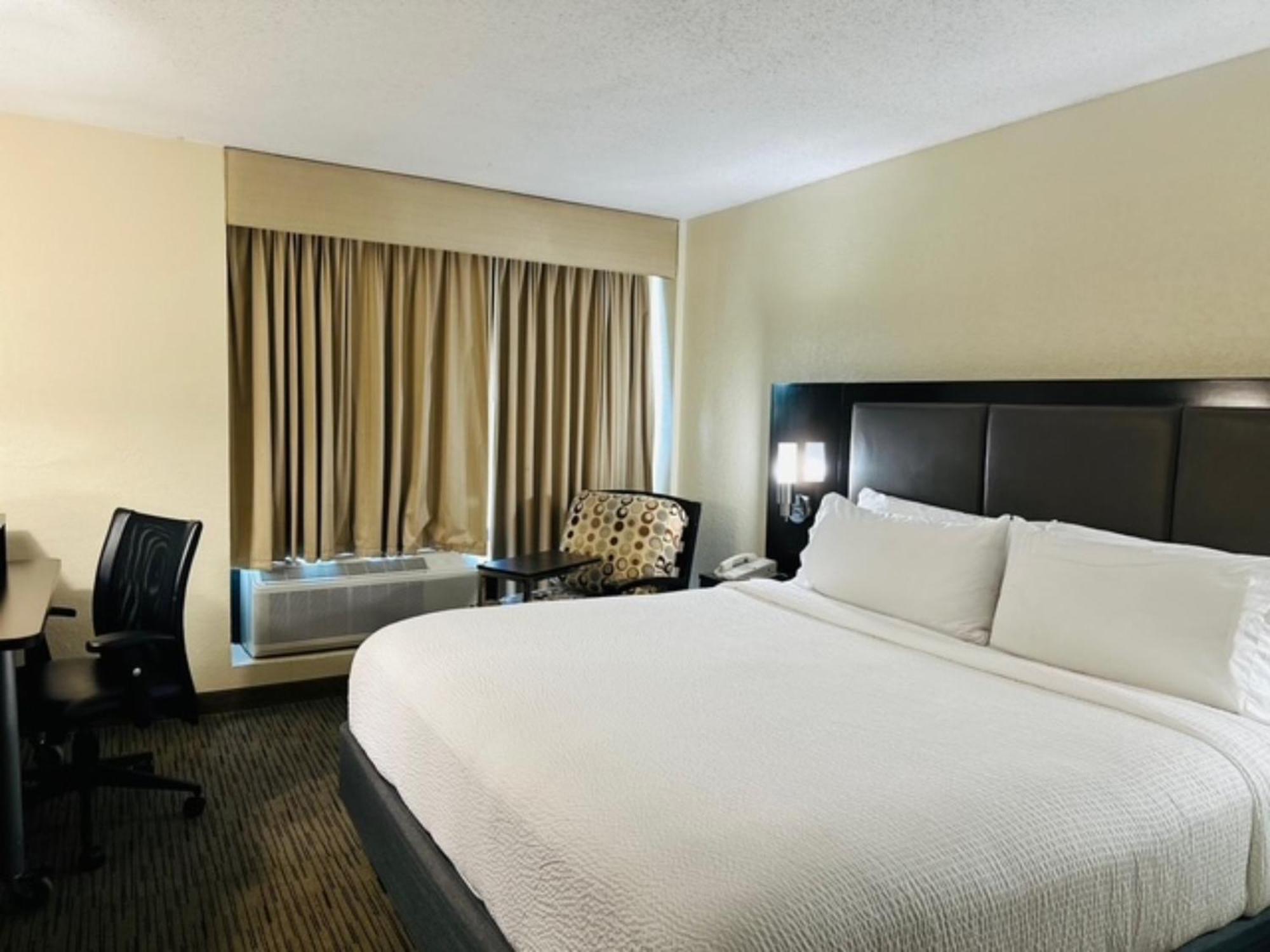 Standard King Room