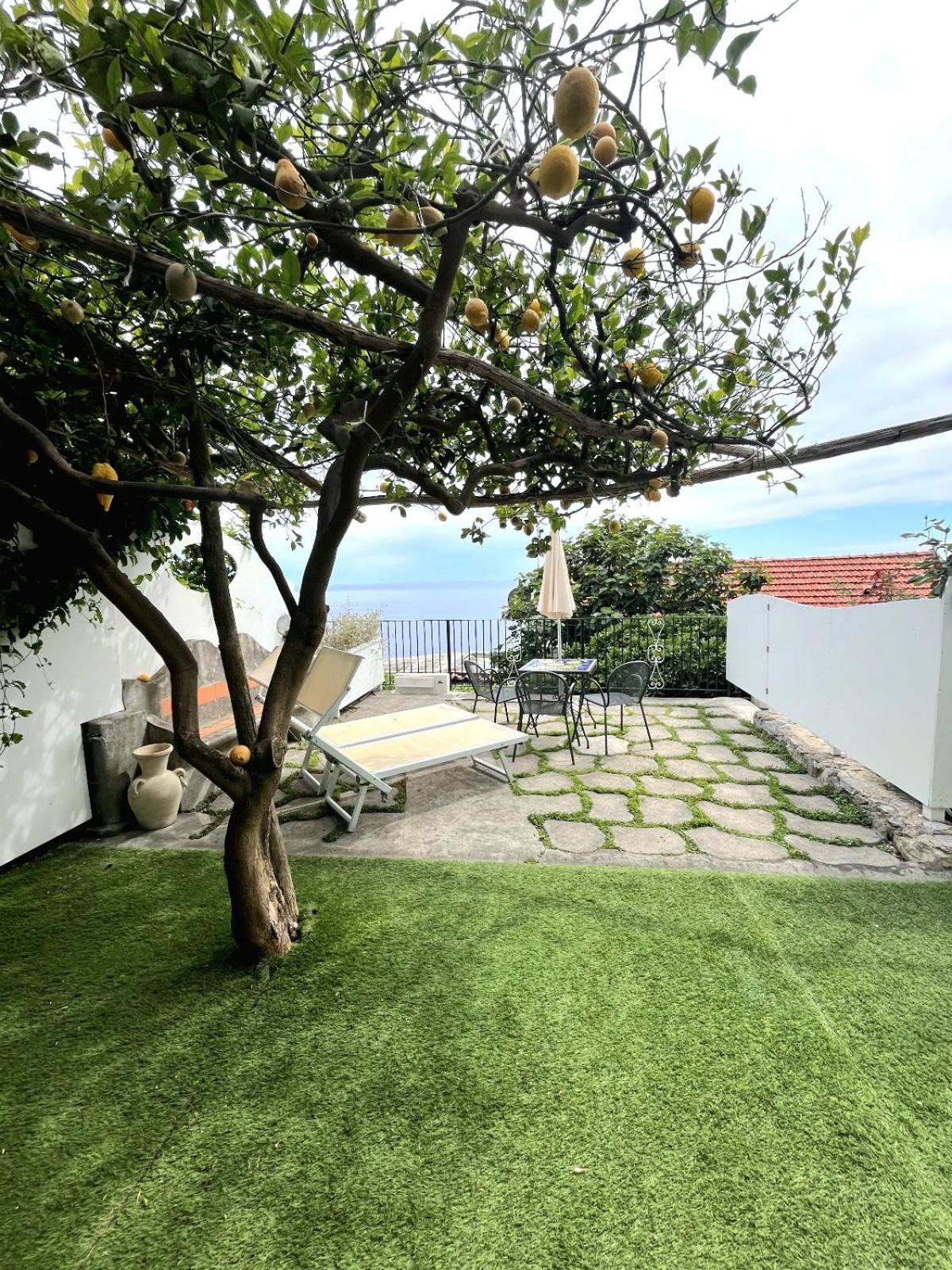 Comfort Room Patio Sea View