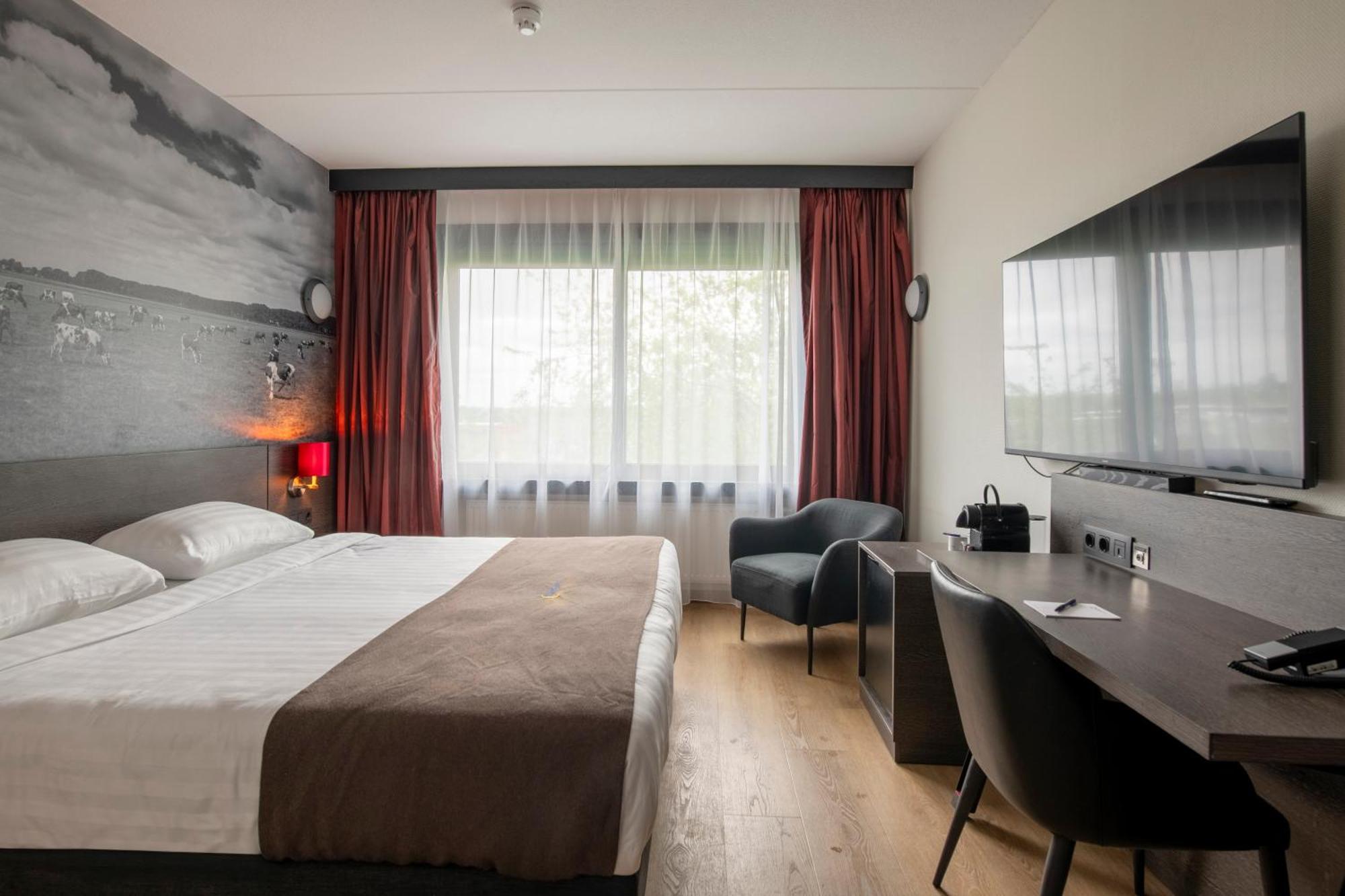 Deluxe King Room,1038878374:JPEG