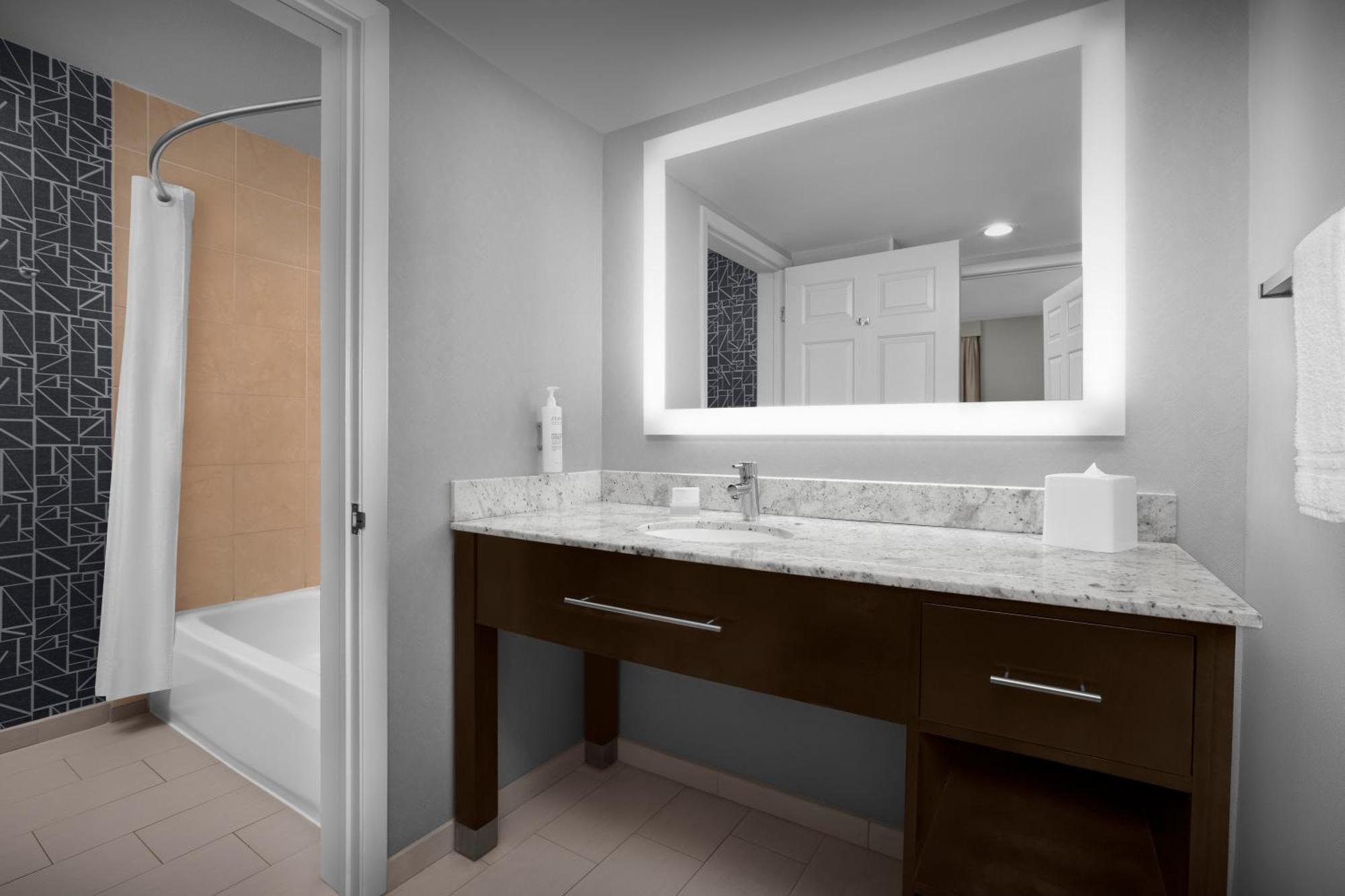 Premium One-Bedroom King Suite Non-Smoking