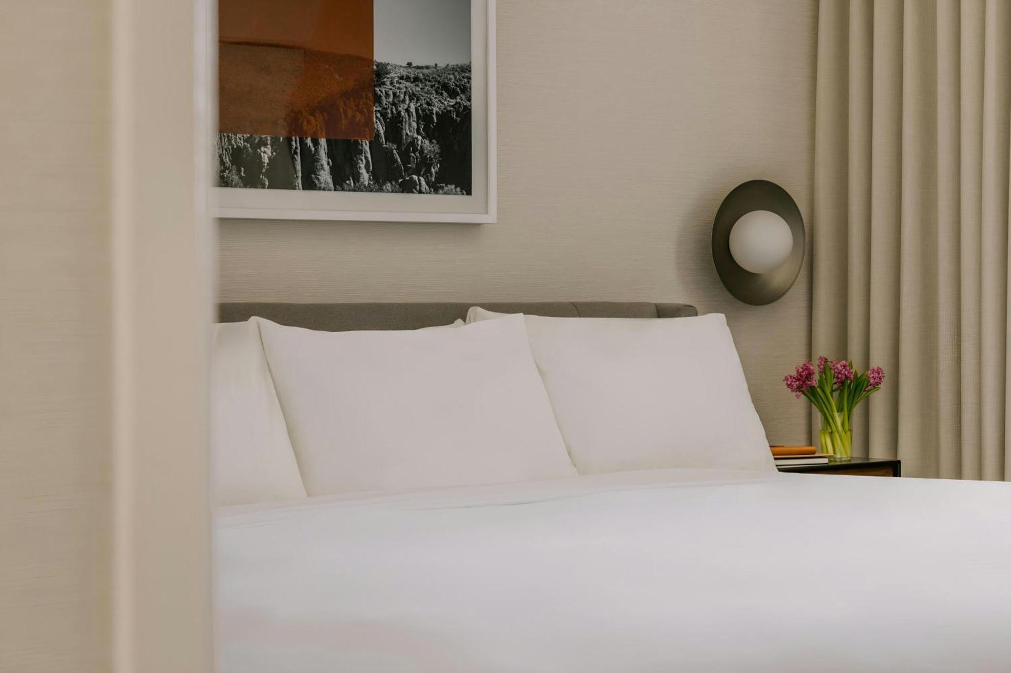 One-Bedroom Superior Apartment King Bed Sofa Bed Balcony