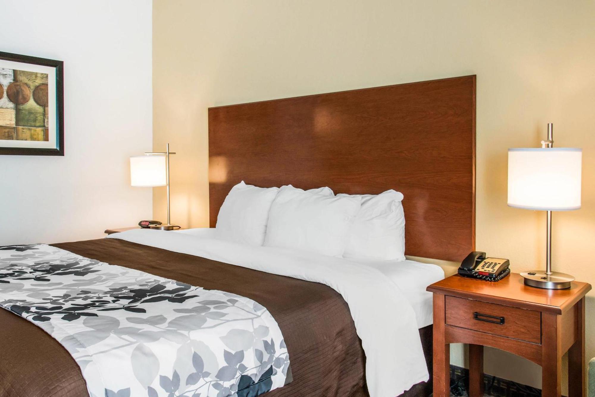 King Room,1674704759:JPEG