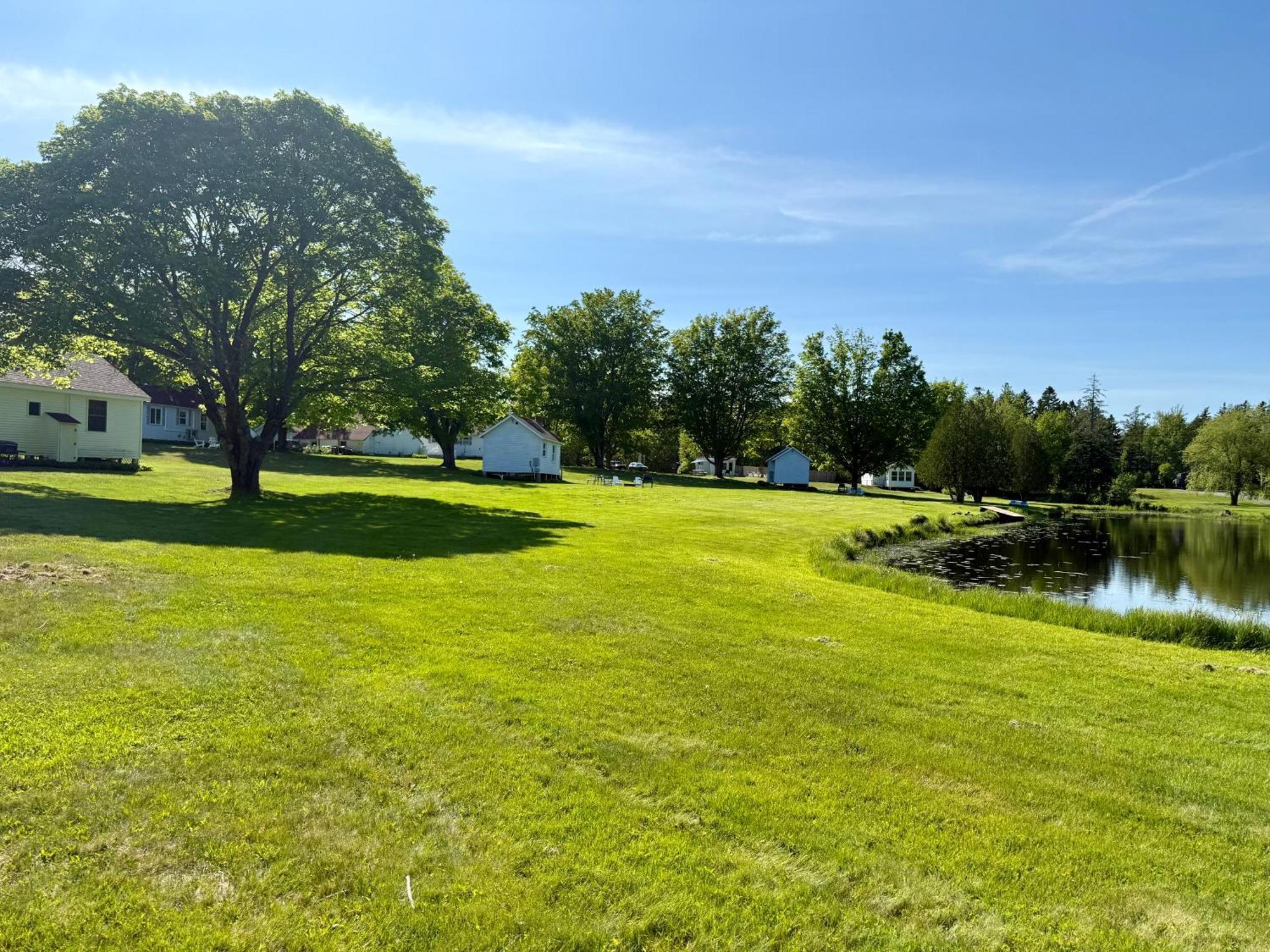 Studio Lake View,1769823341:JPEG
