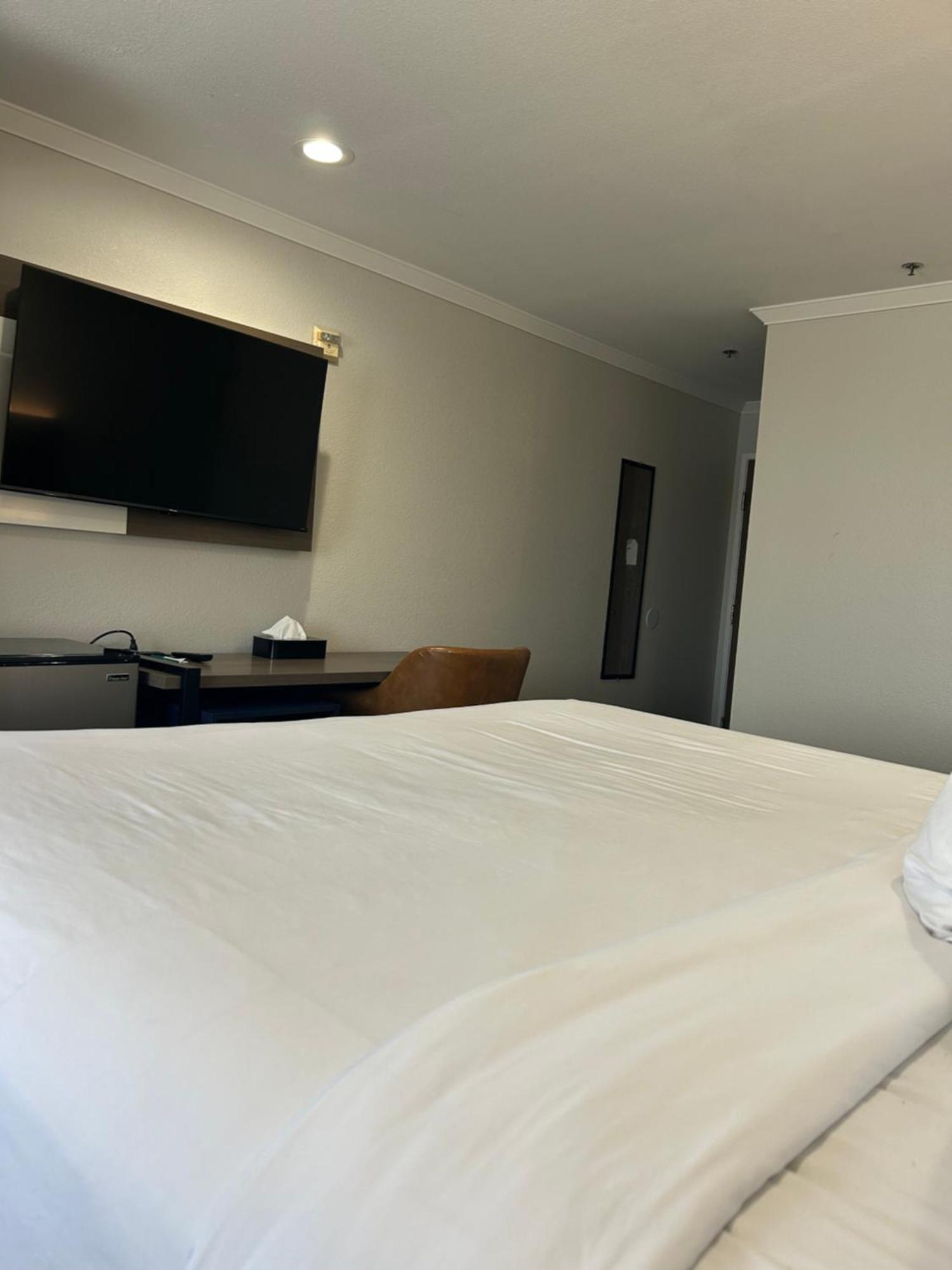 King Room Non Smoking