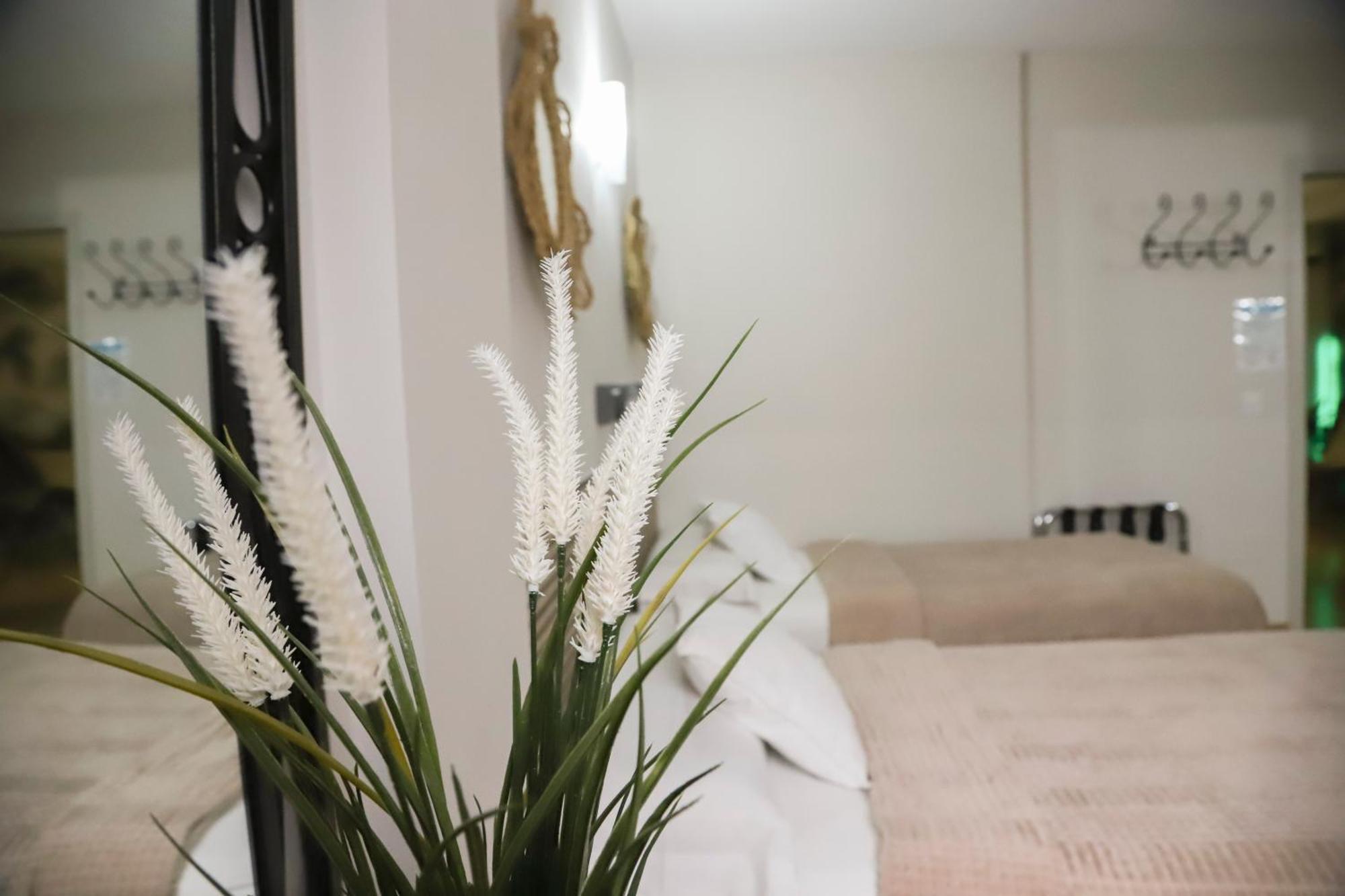 Twin Room Terrace