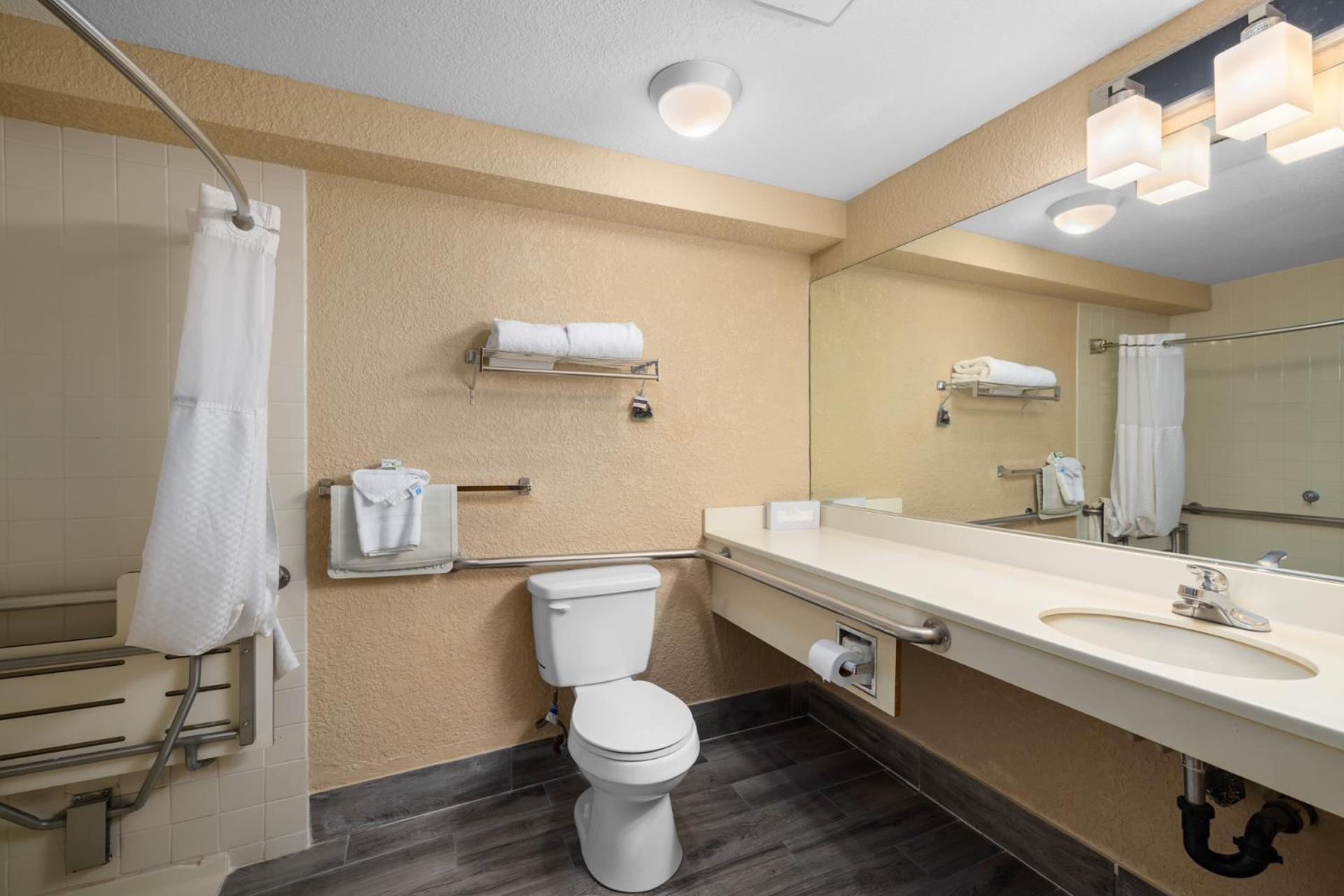 King Room Mobility or Hearing Impaired Access Non-Smoking