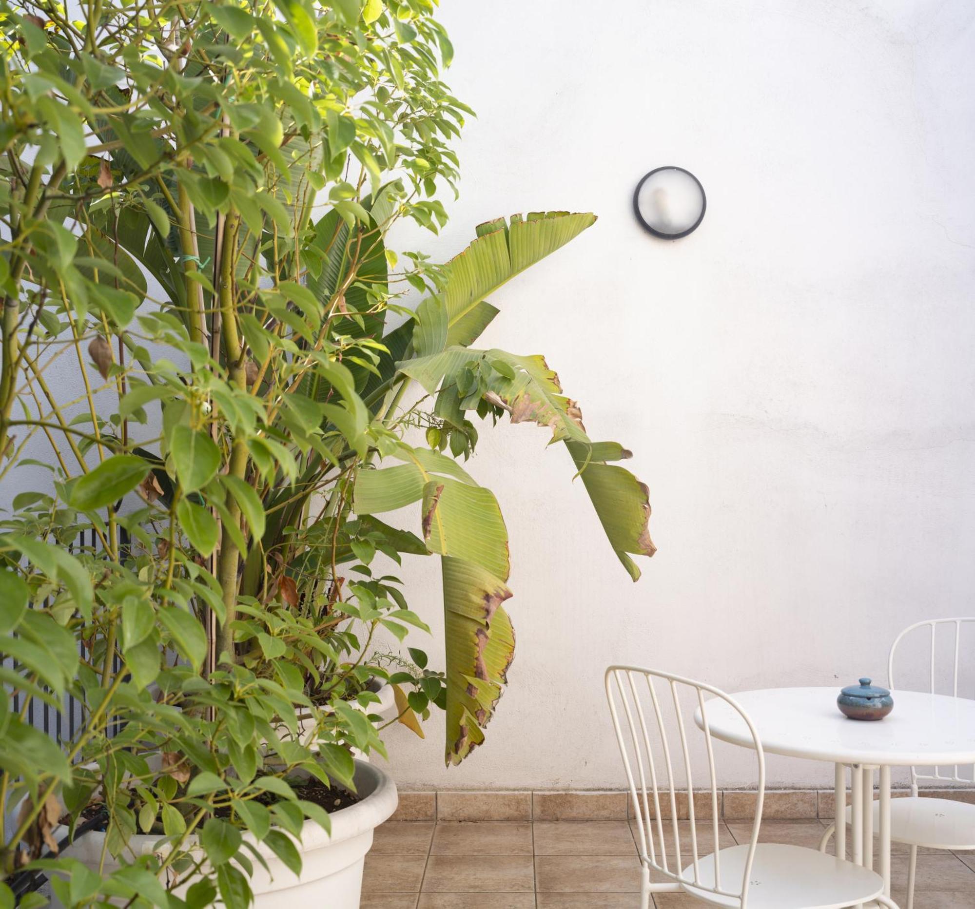 Junior Suite Terrace