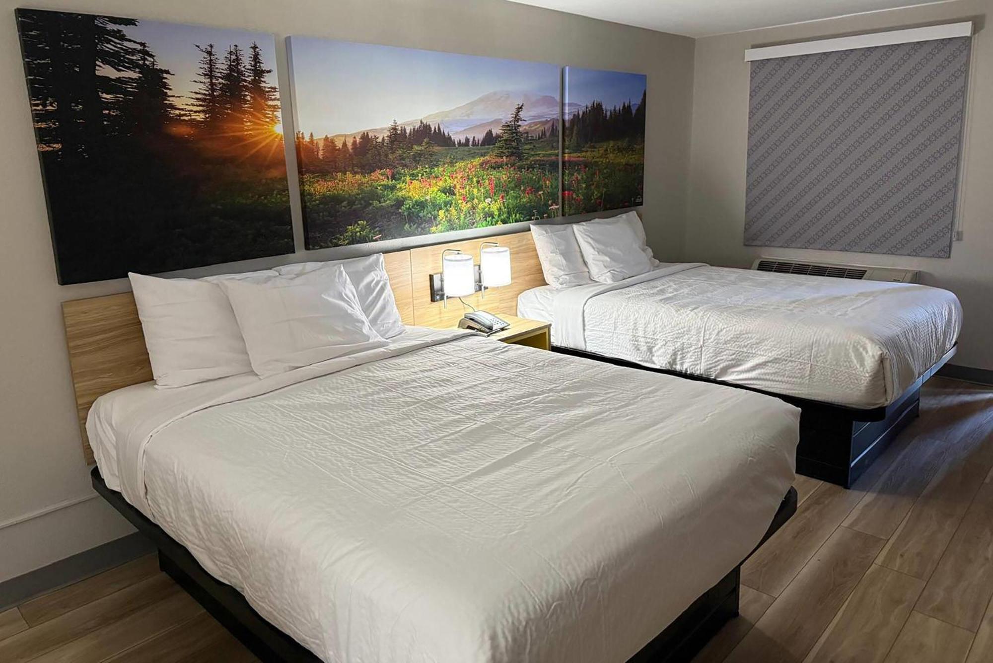 Double Room Two Double Beds Roll Shower Mobility or Hearing Accessible Non-Smoking,1679588391:JPEG
