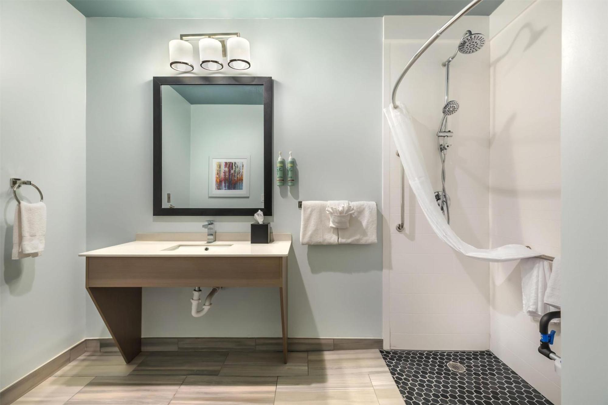 King Room Roll Shower Disability Access or Non-Smoking,1679601344:JPEG