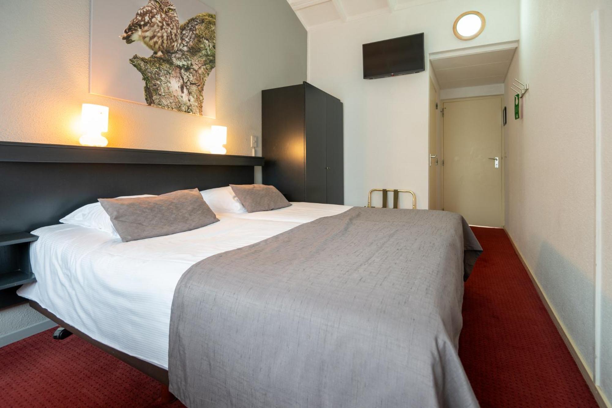 Double Room,1680577996:JPEG