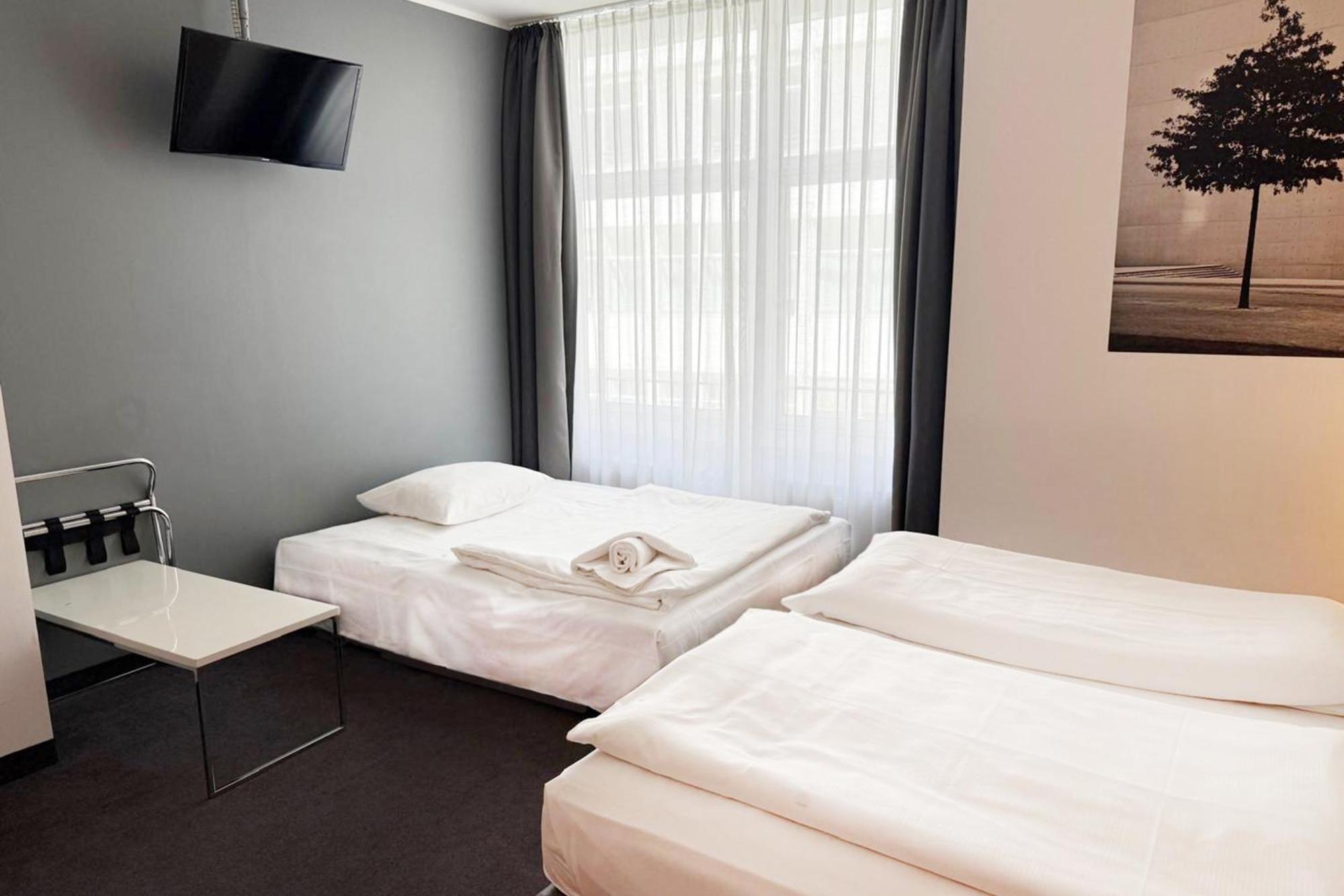 2 Single Premium Single Sofa Bed
