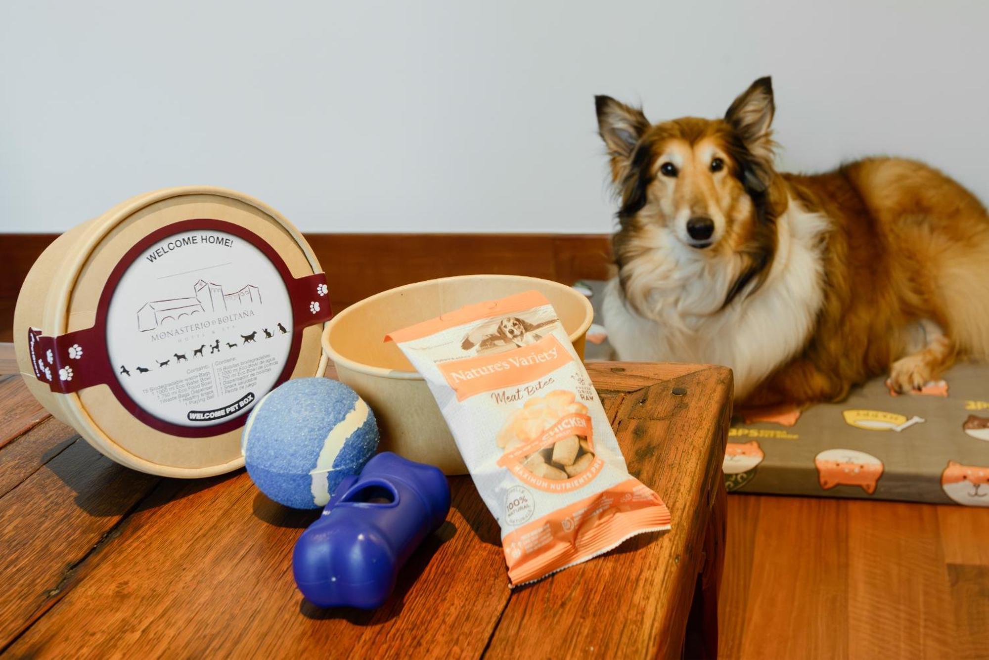 Deluxe Villa Pet Friendly