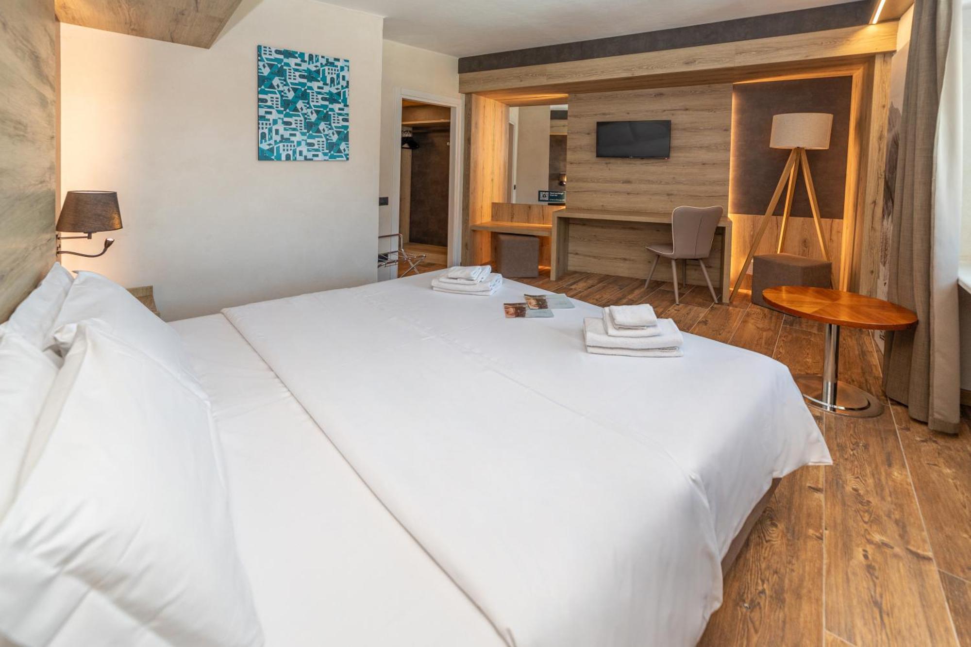 Double or Twin Room Mountain View