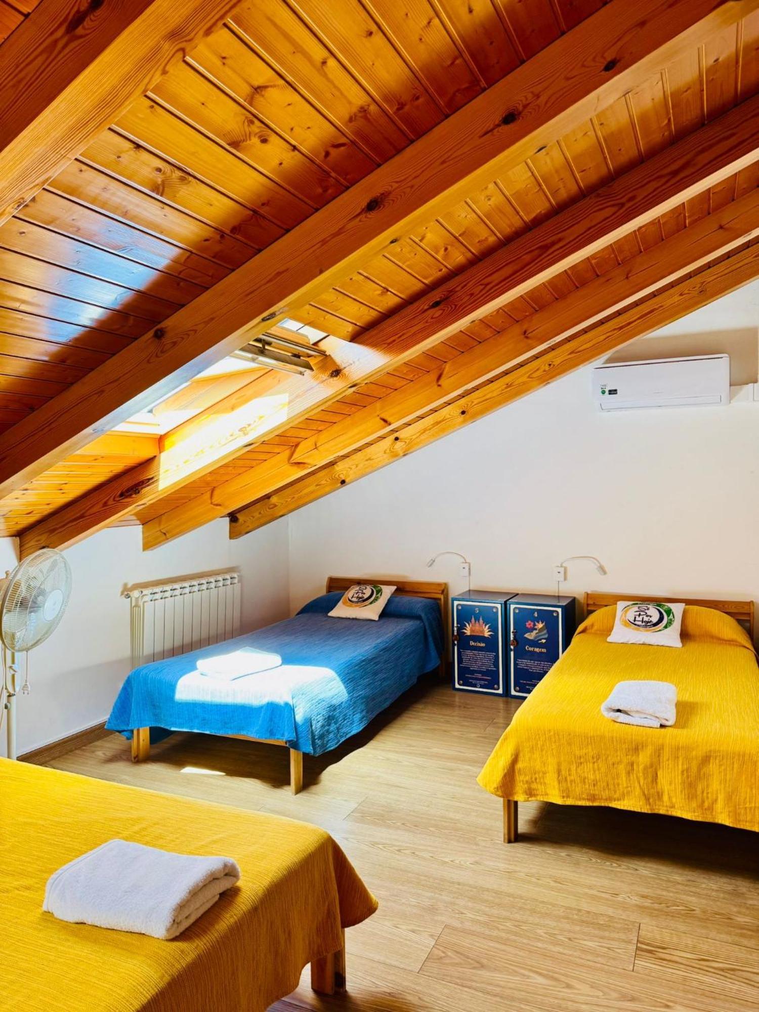 Single Bed Mixed Dormitory Room