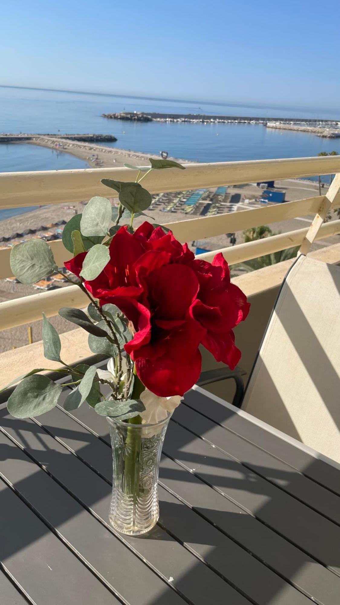Studio Balcony