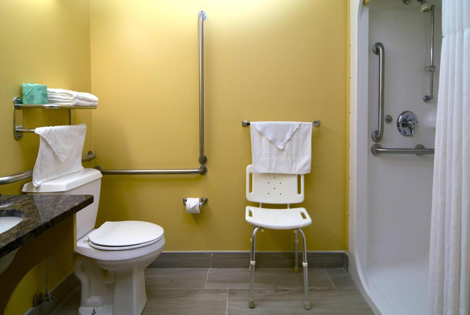 Queen Room One Queen Bed Mobility Access or Non-Smoking