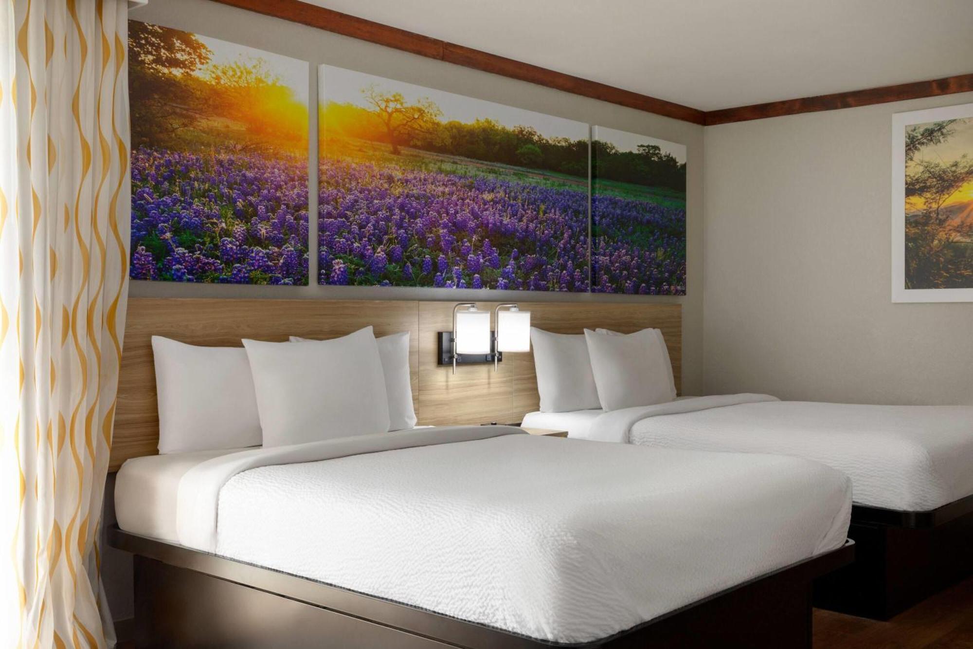 Studio Suite 2 Queen Beds 1 King Bed Non-Smoking