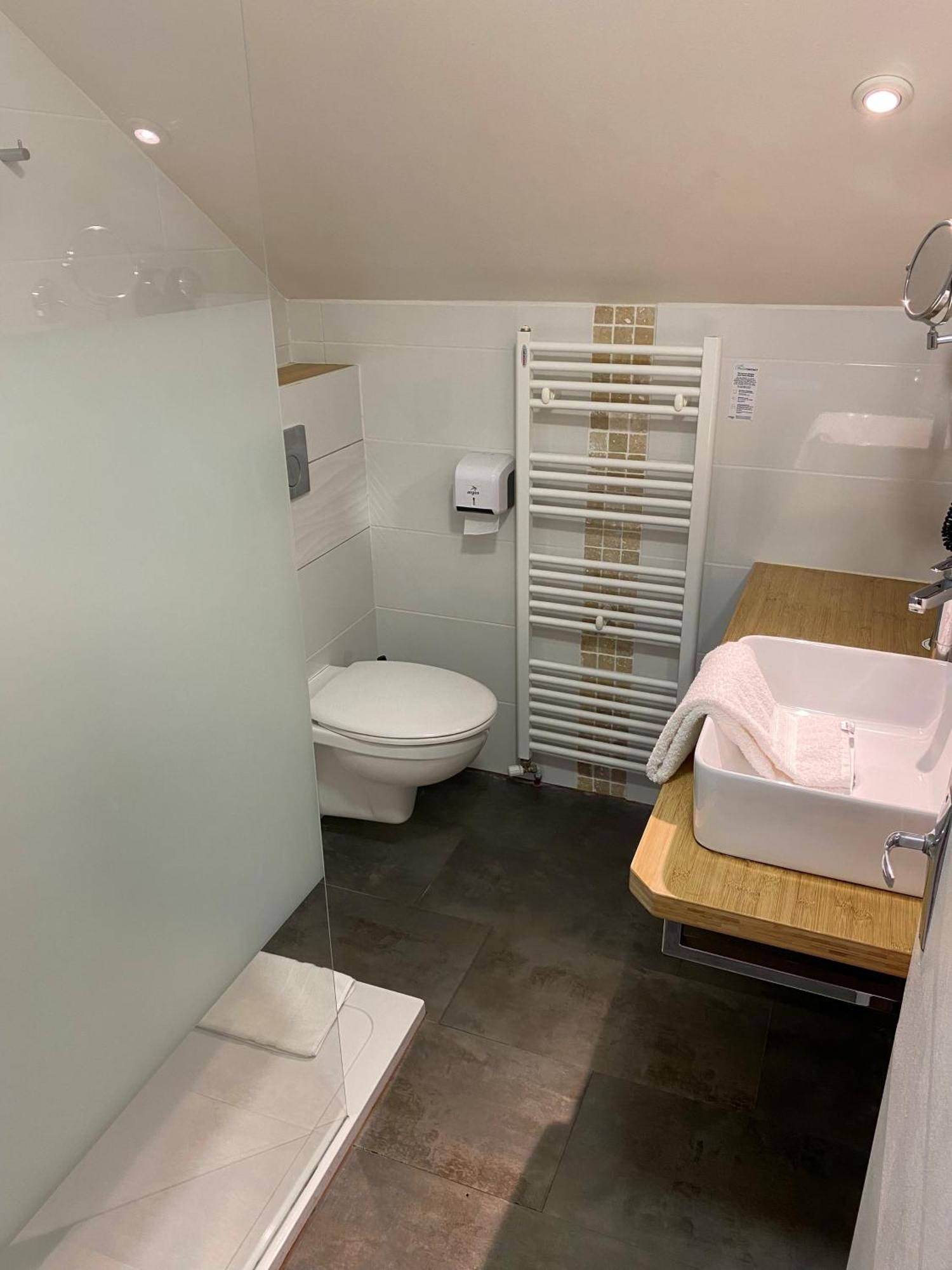 Deluxe Double Room Shower