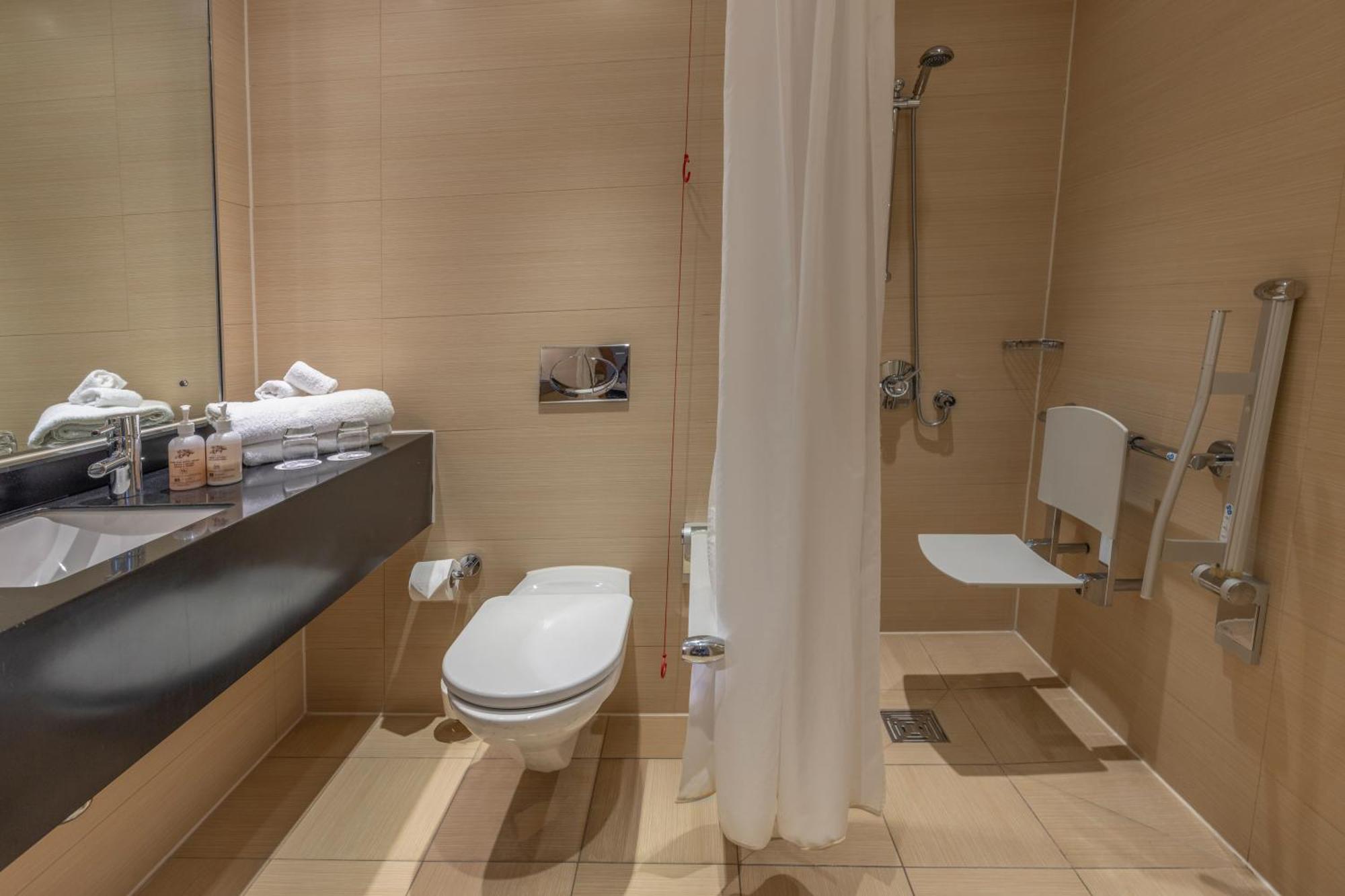 Classic Accessible King Room
