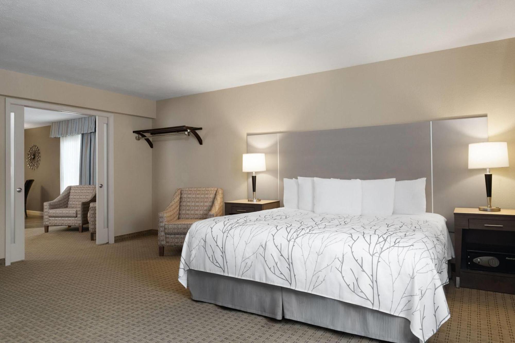 One-Bedroom Luxury King Suite Non-Smoking