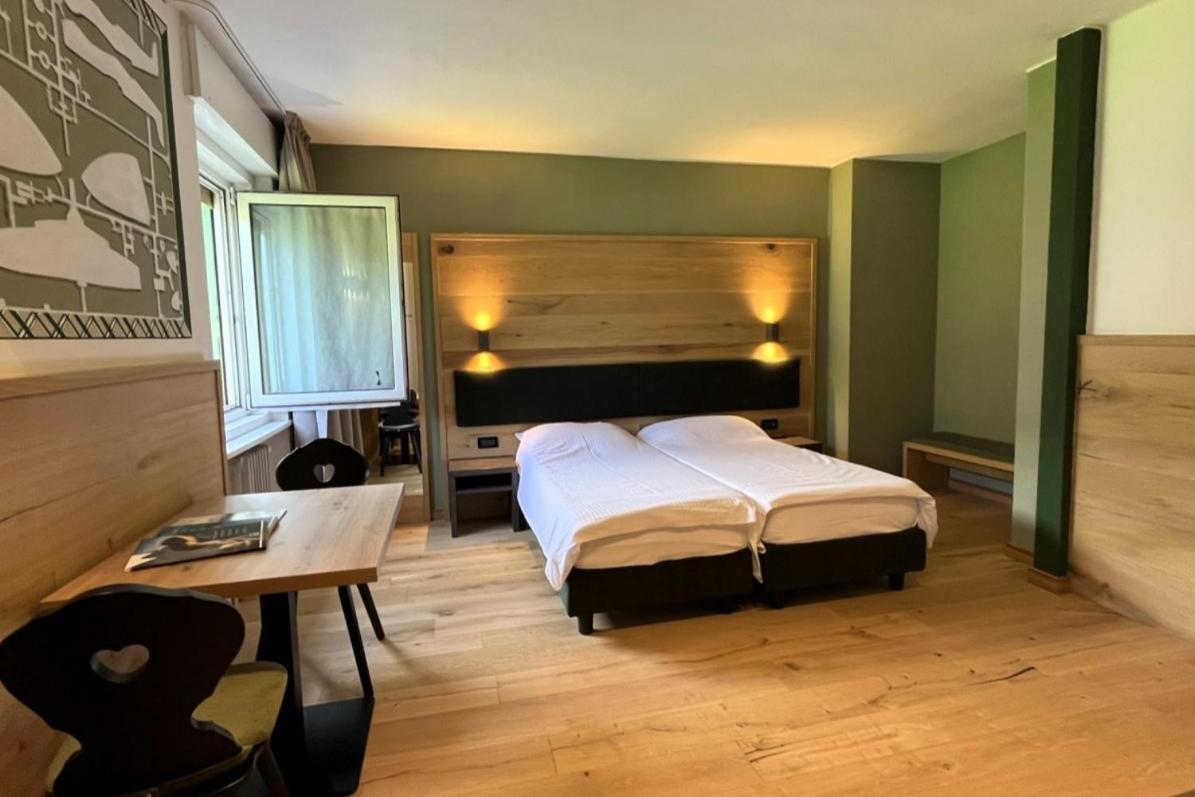 Superior Double or Twin Room Mountain View
